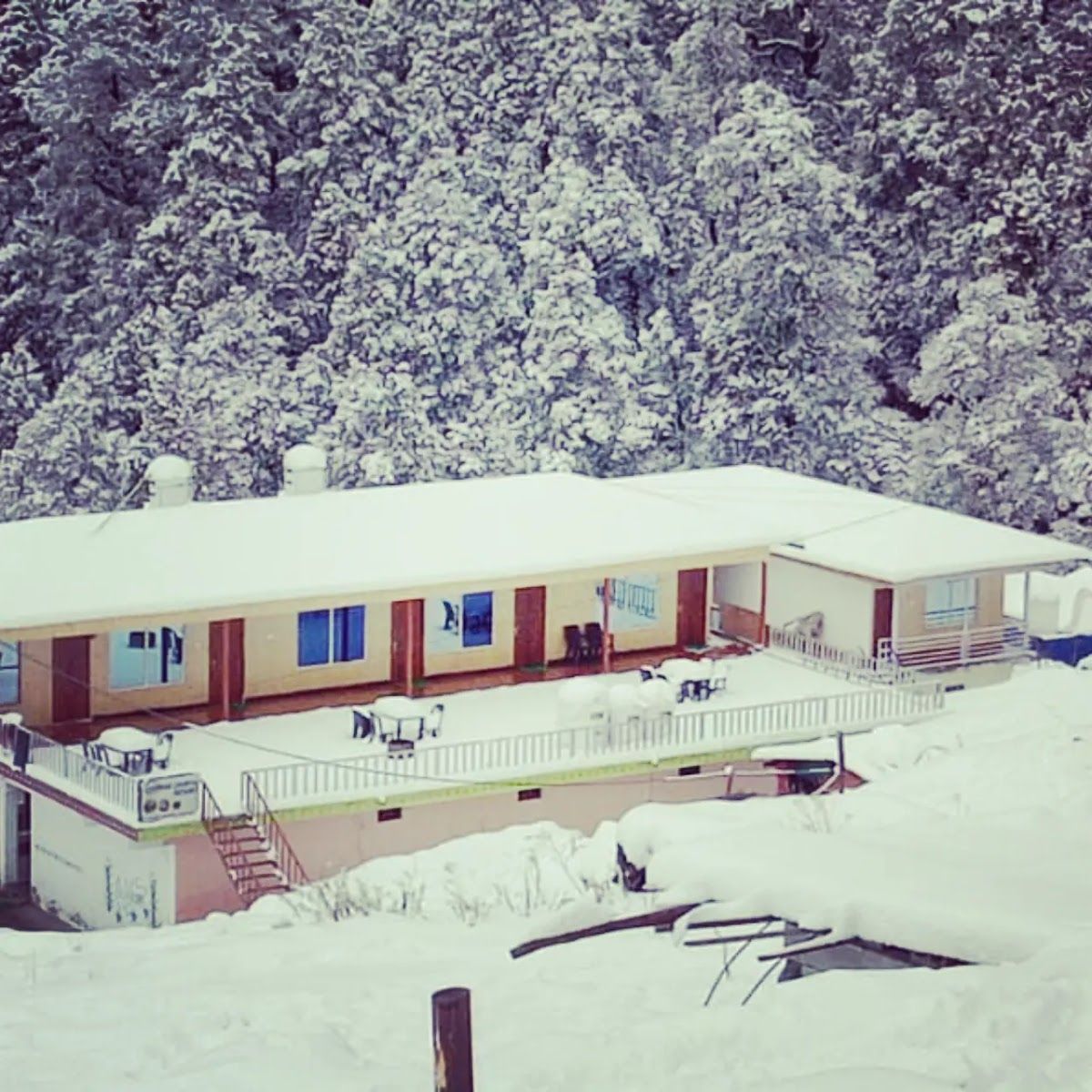 Solar-Powered Homestay w/ Fast WiFi, Uttarakhand in Chopta, Uttarakhand 8
