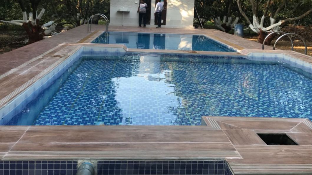 Sasan Gir resort, deep in the trees. With a pool.