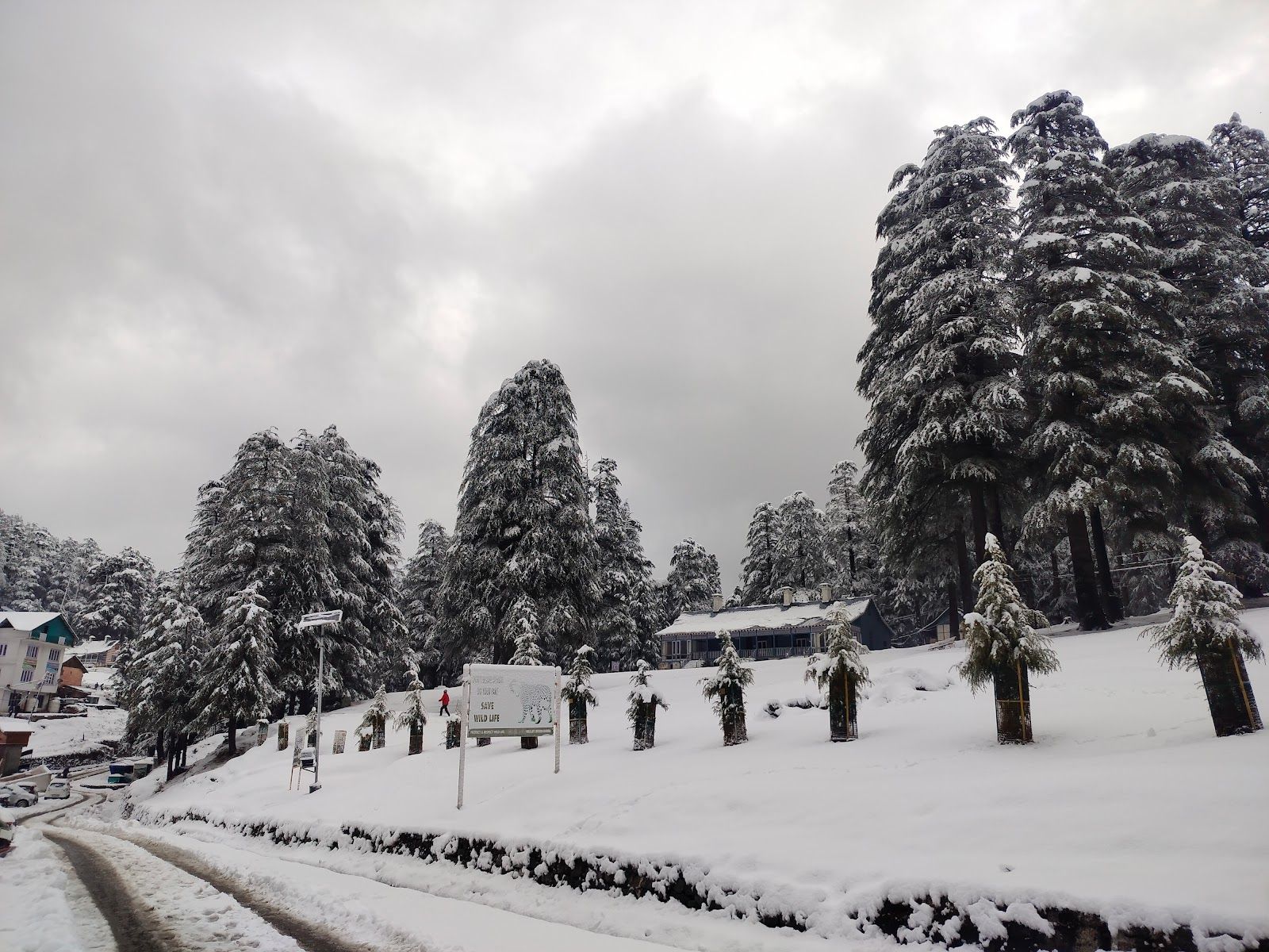 Paragliding Homestay w/ Mountain Views, HP - Khajjiar, HP photo 4