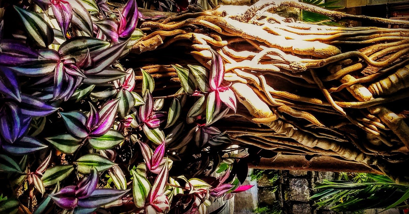 Riverside Homestay w/ Bonfires & Trails, HP in Dharamshala, HP 8