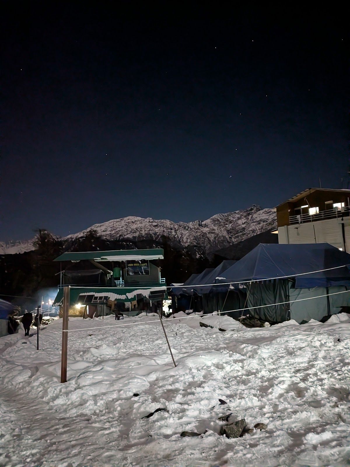 Mountain View Camp w/ All Meals, Uttarakhand in Chopta, Uttarakhand 5