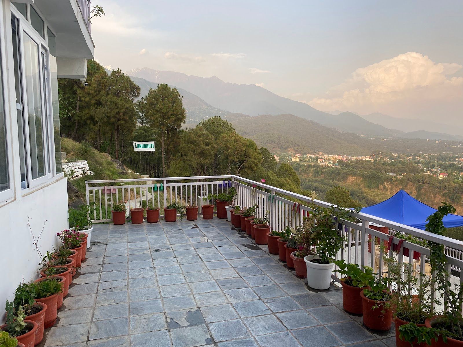 Mountain Homestay w/ Pahari Mutton & Views, HP in Palampur, HP 1