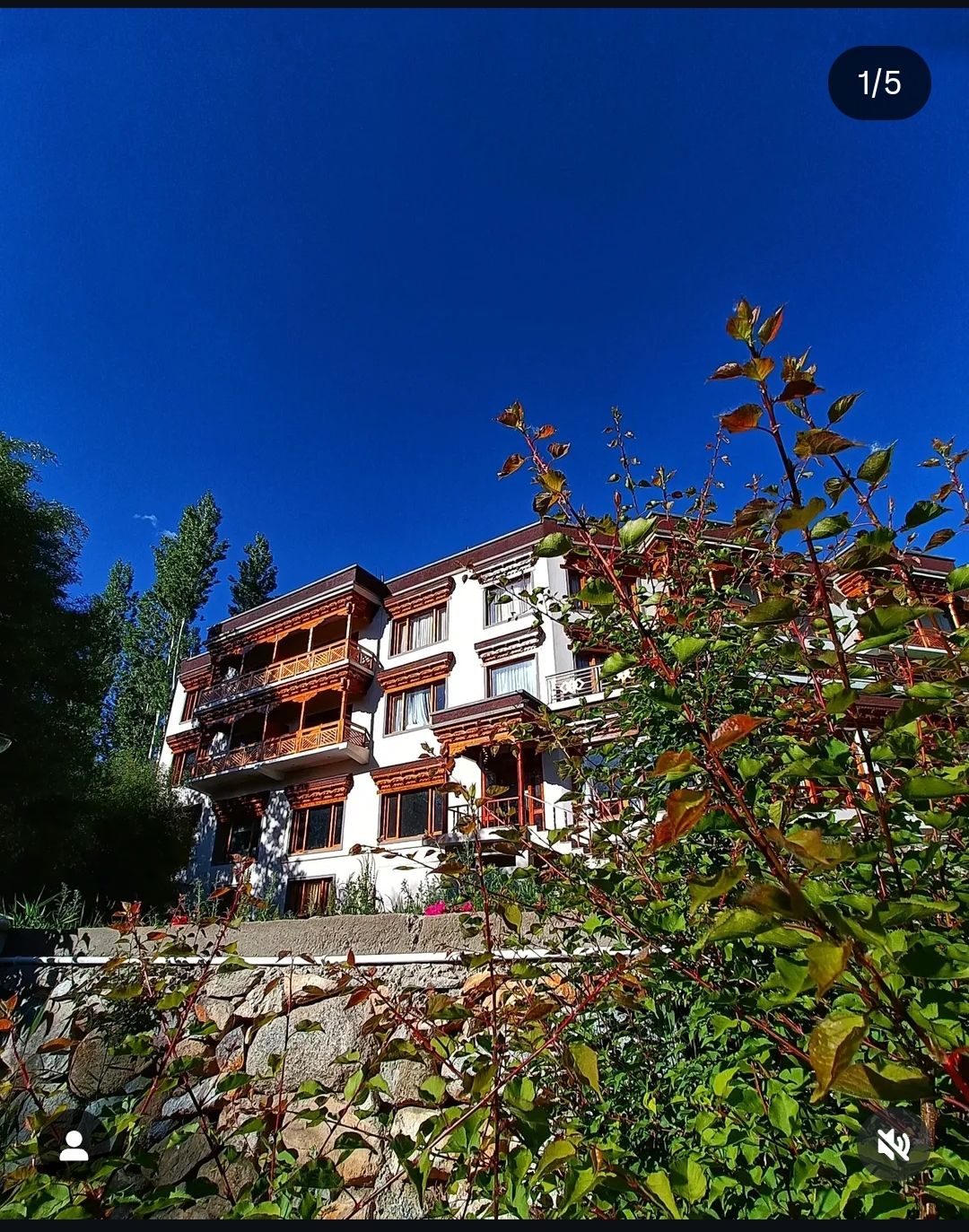 Mountain View Hotel w/ Exceptional Hospitality in Leh, Ladakh 1