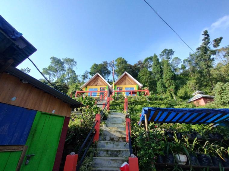 Cozy Mountain Homestay w/ Pet Friends, Views