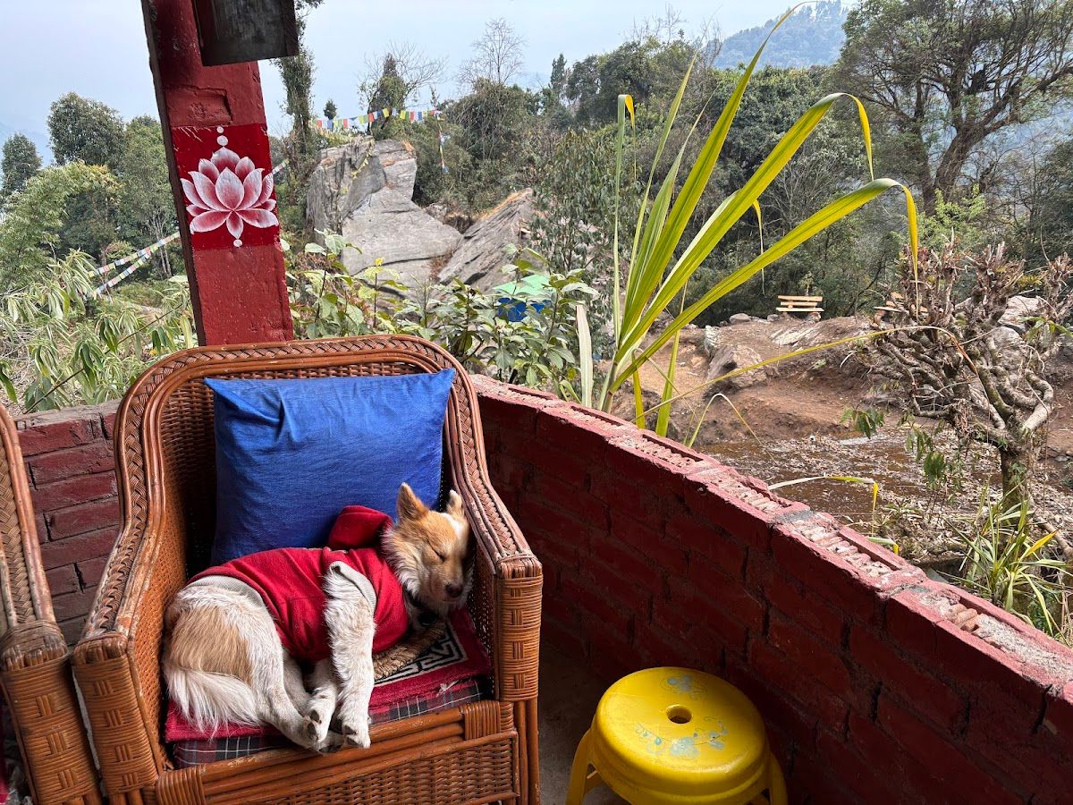 Homestay w/Lake Views & Warm Host in Sikkim 8