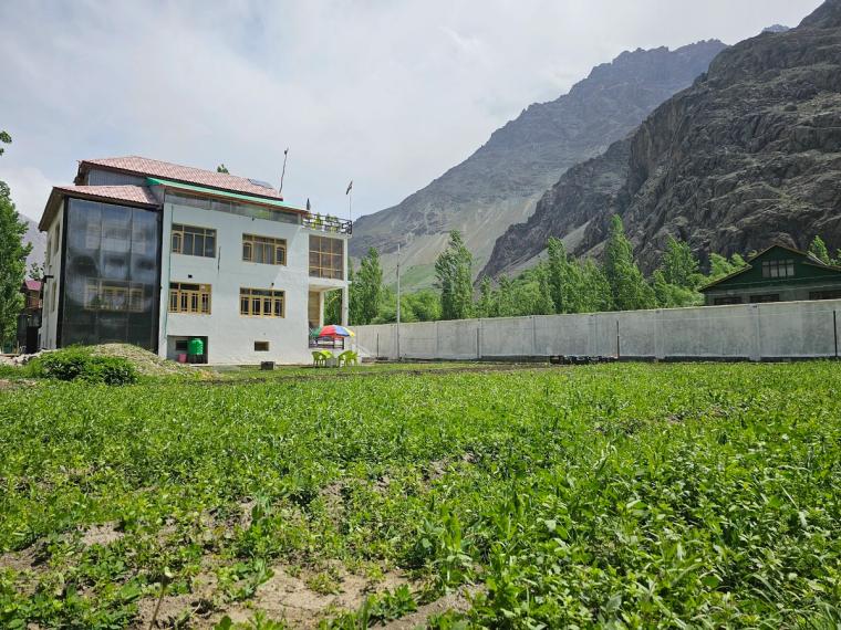 A quiet homestay in Ladakh's Suru Valley
