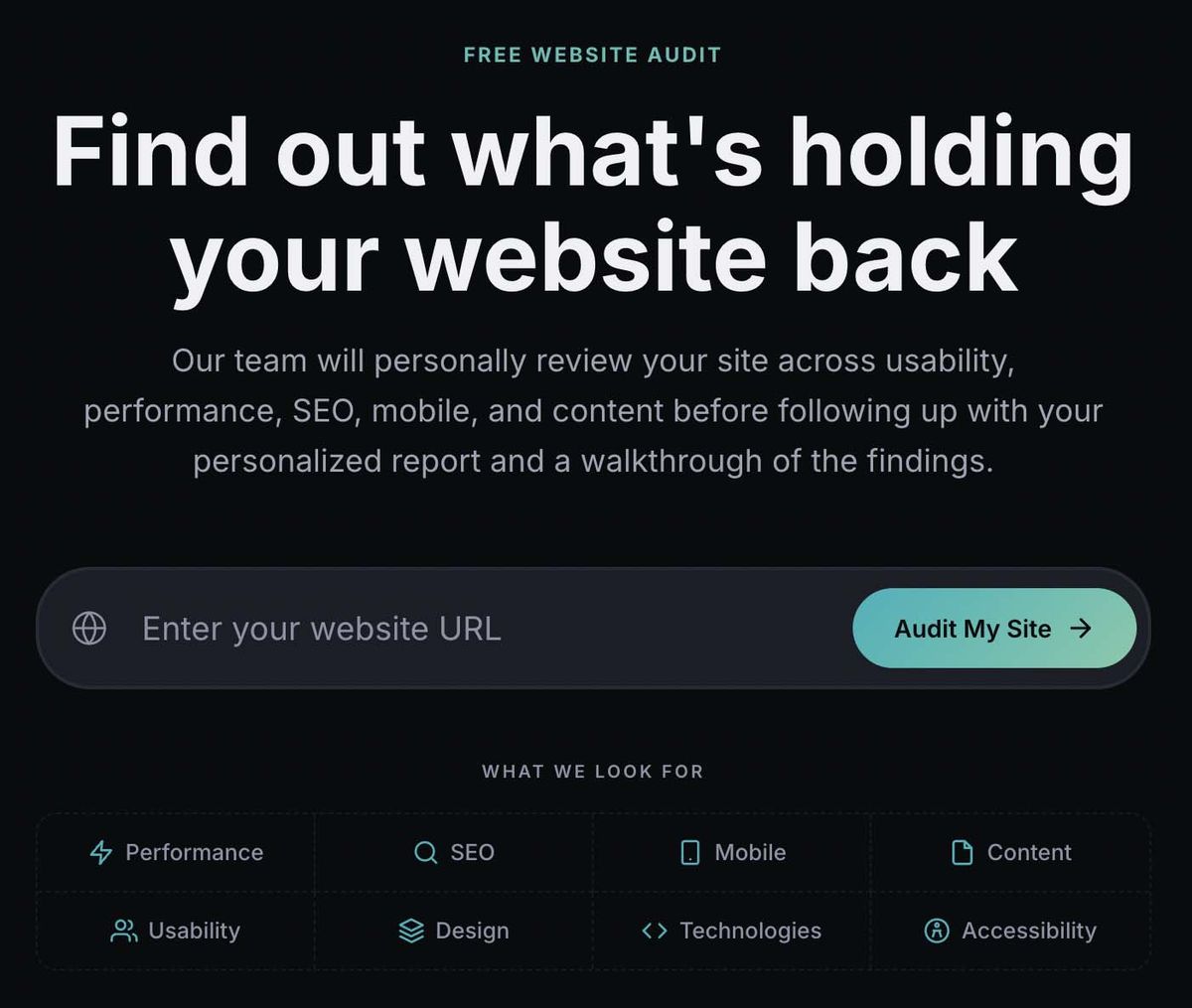 Screenshot of website audit interface