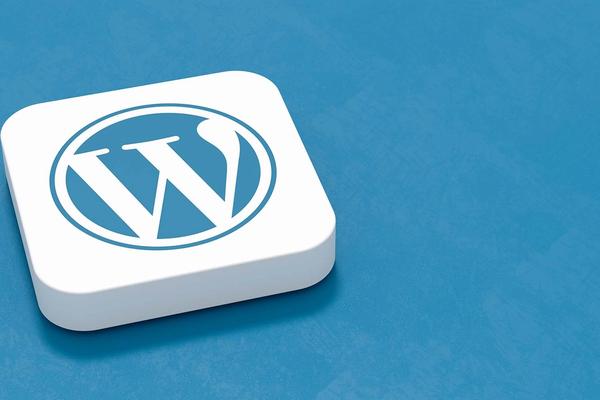 Safely update your WordPress website