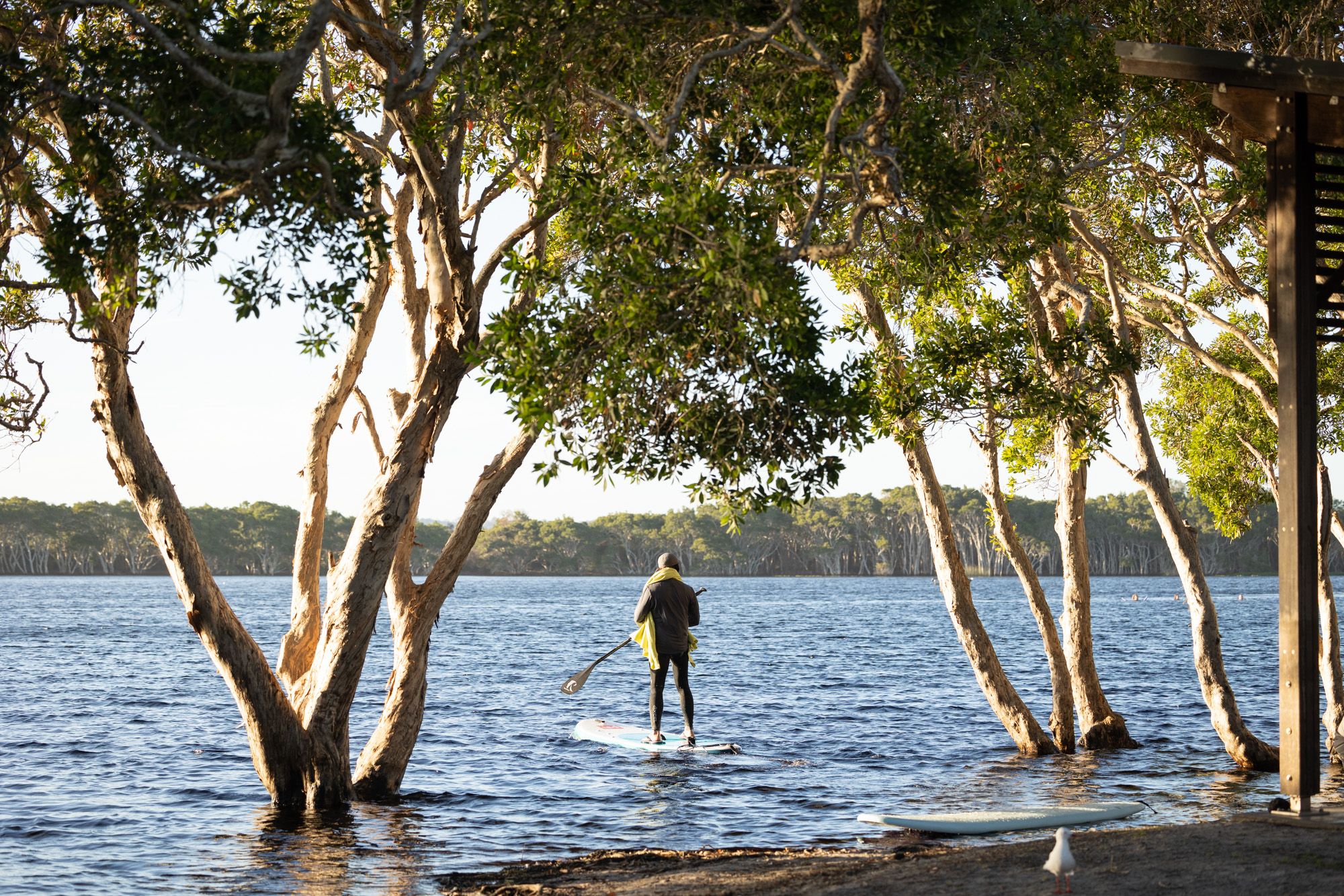 Stand up paddleboarding lennox head