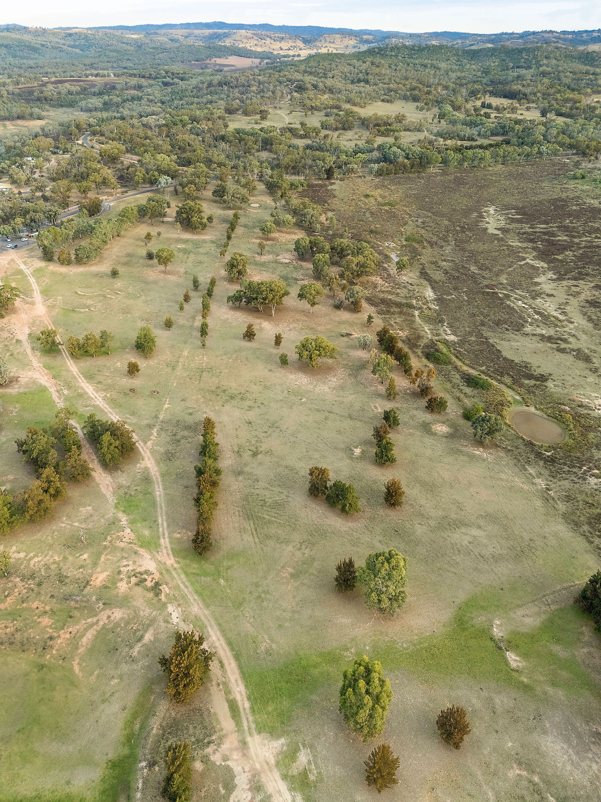 Lake Burrendong Fairway Reserve - Outdoor space