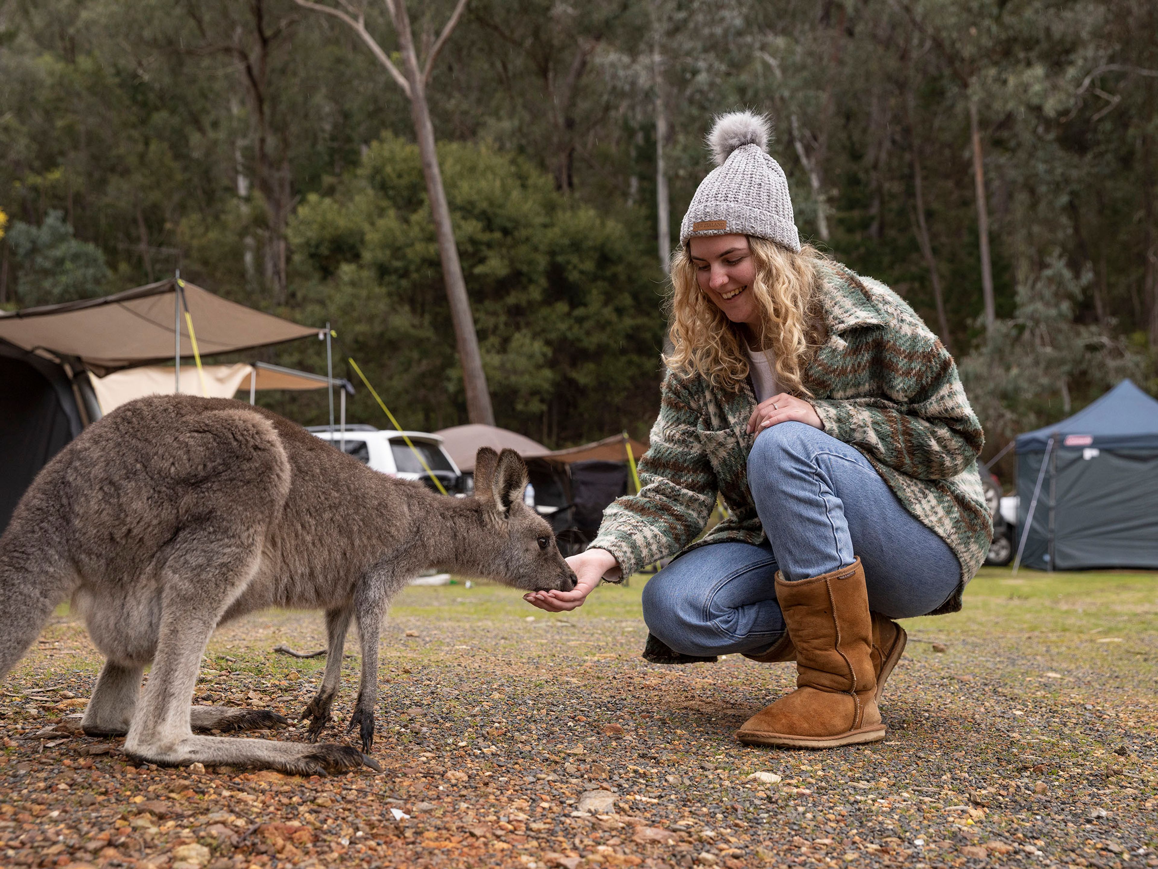 Reflections Holidays Burrinjuck Waters holiday & caravan park unpowered camping hand feeding kangaroo
