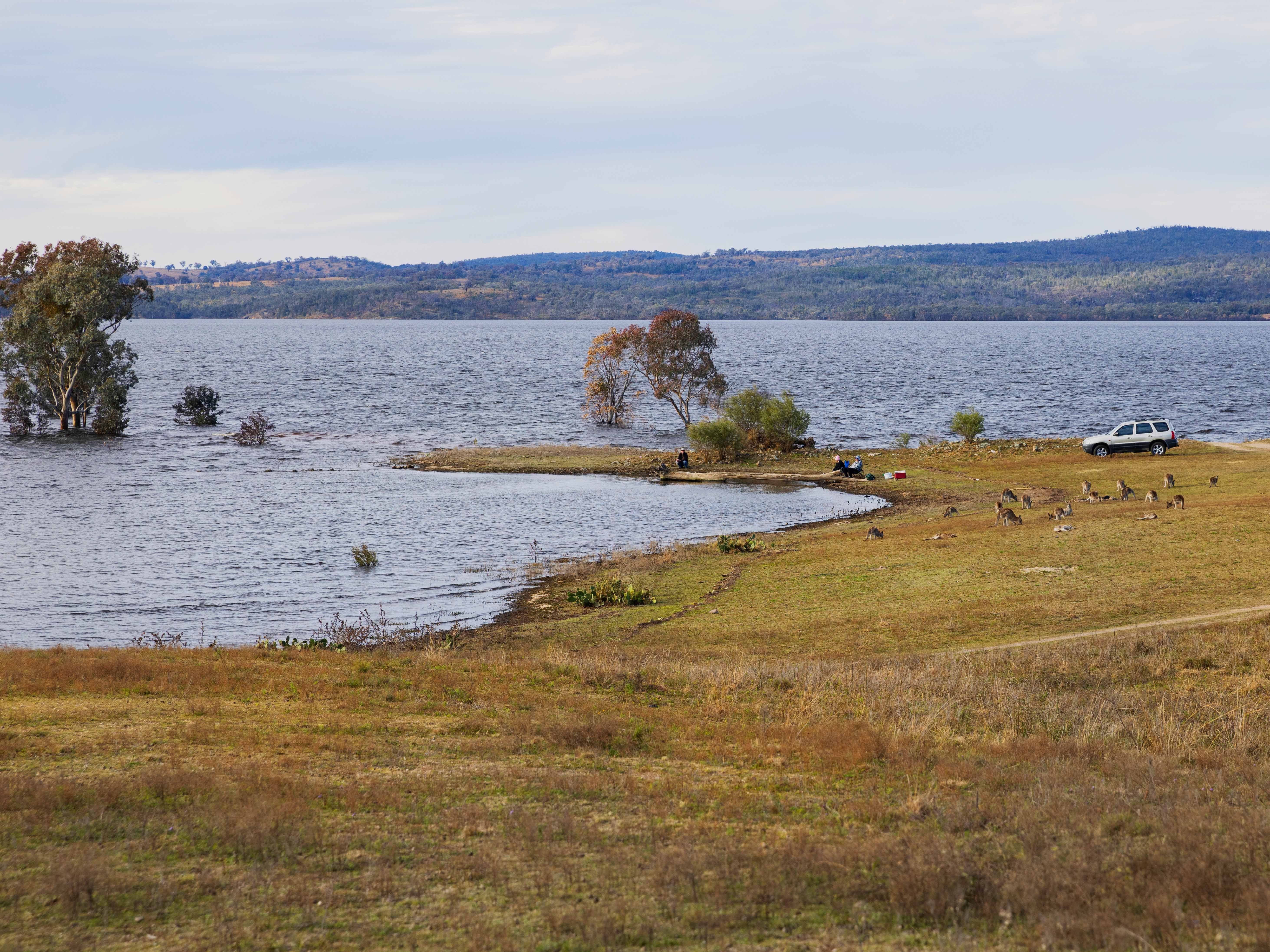 Camping at Copeton Waters