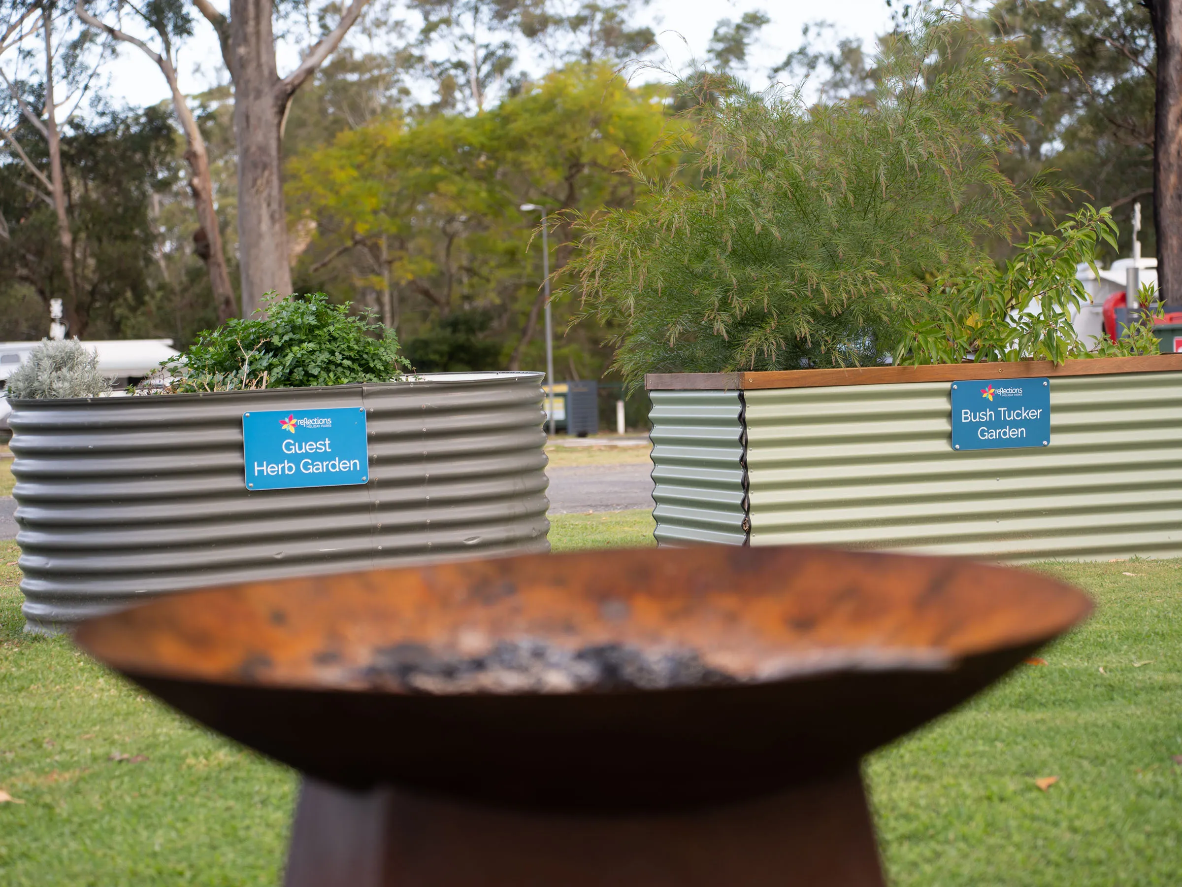 Reflections Holidays Coffs Harbour holiday & caravan park fire pit and herb garden