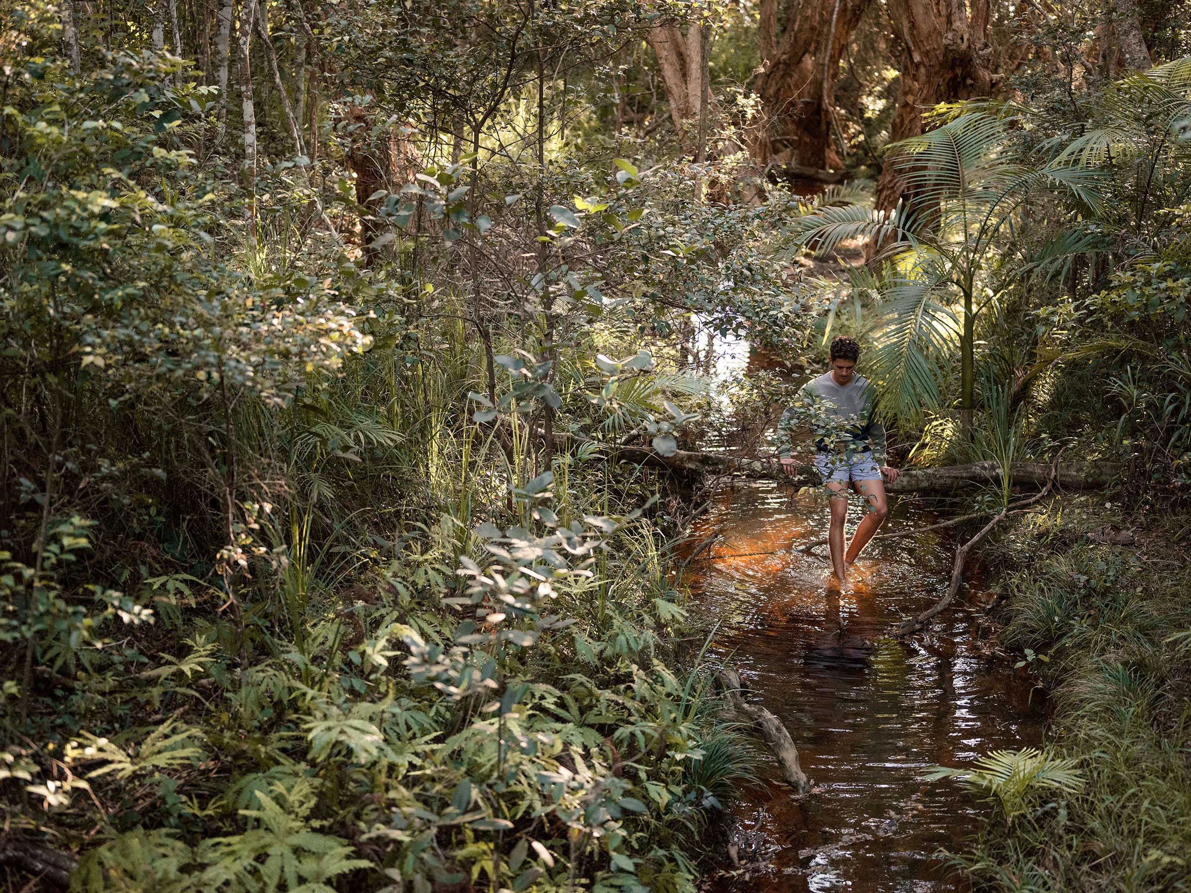 Reflections Holidays Bonny Hills holiday & caravan park bush walk through rainforest in creek