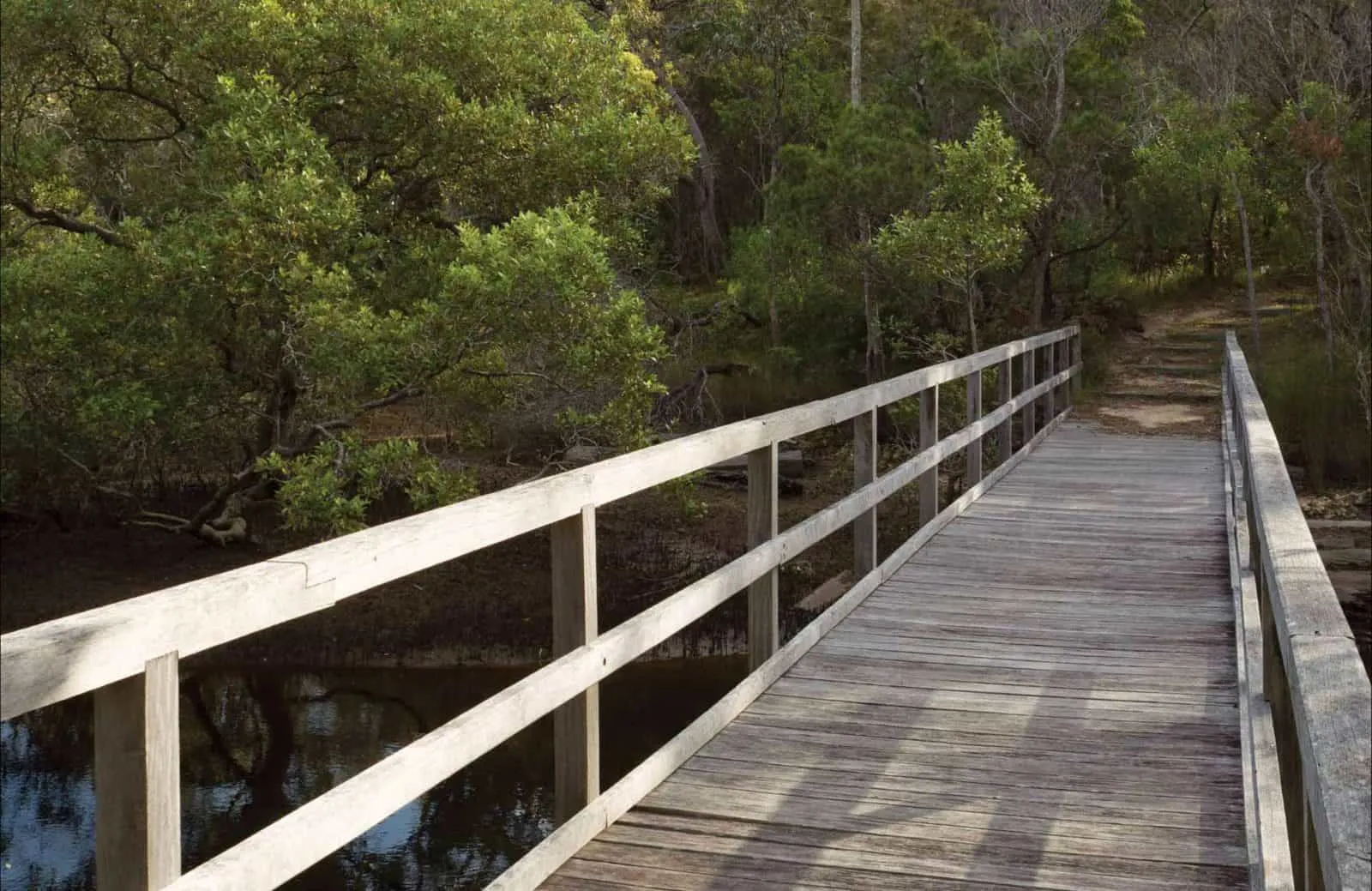 Gummigurrah Walking Track