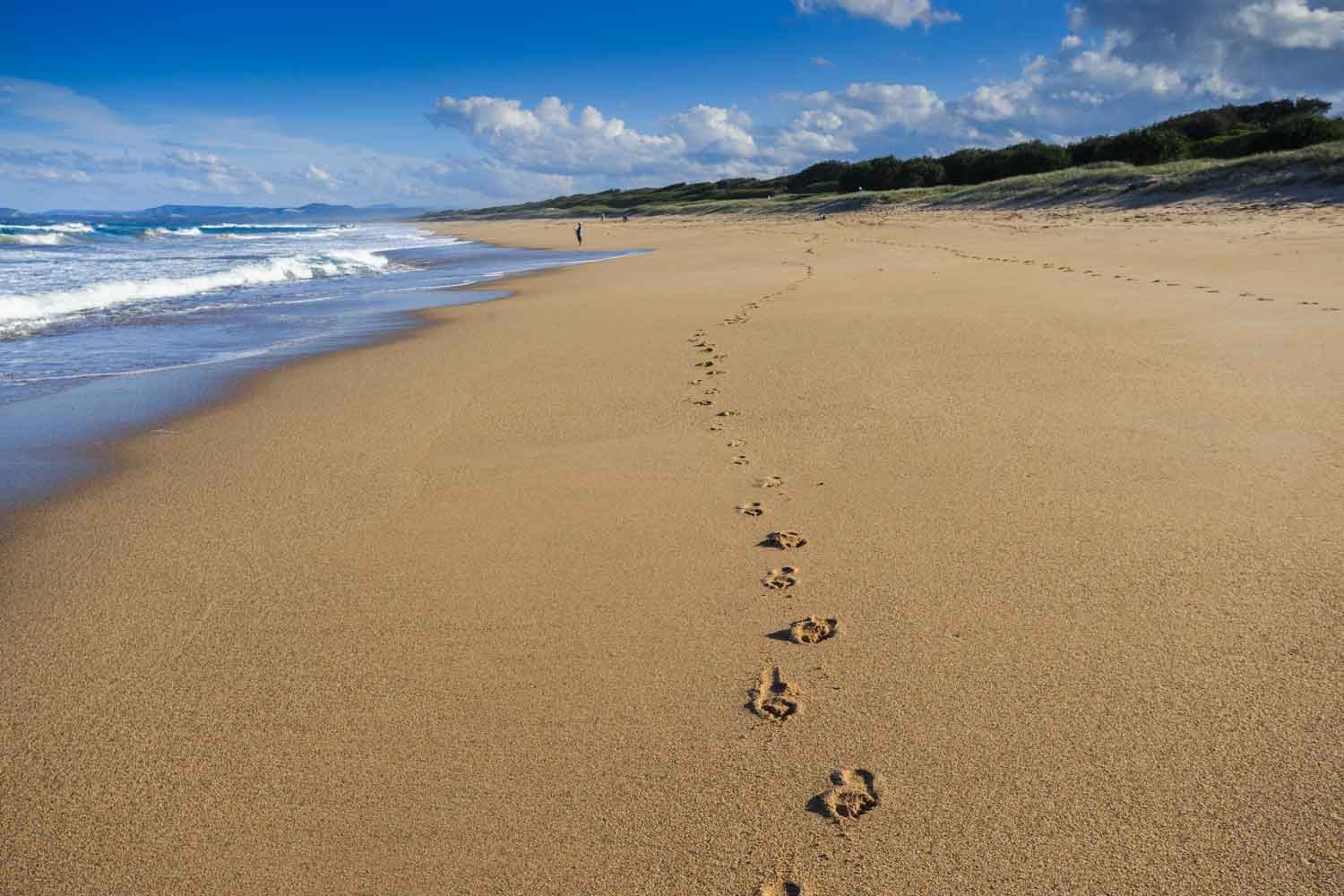 Red Rock footprints in the sand