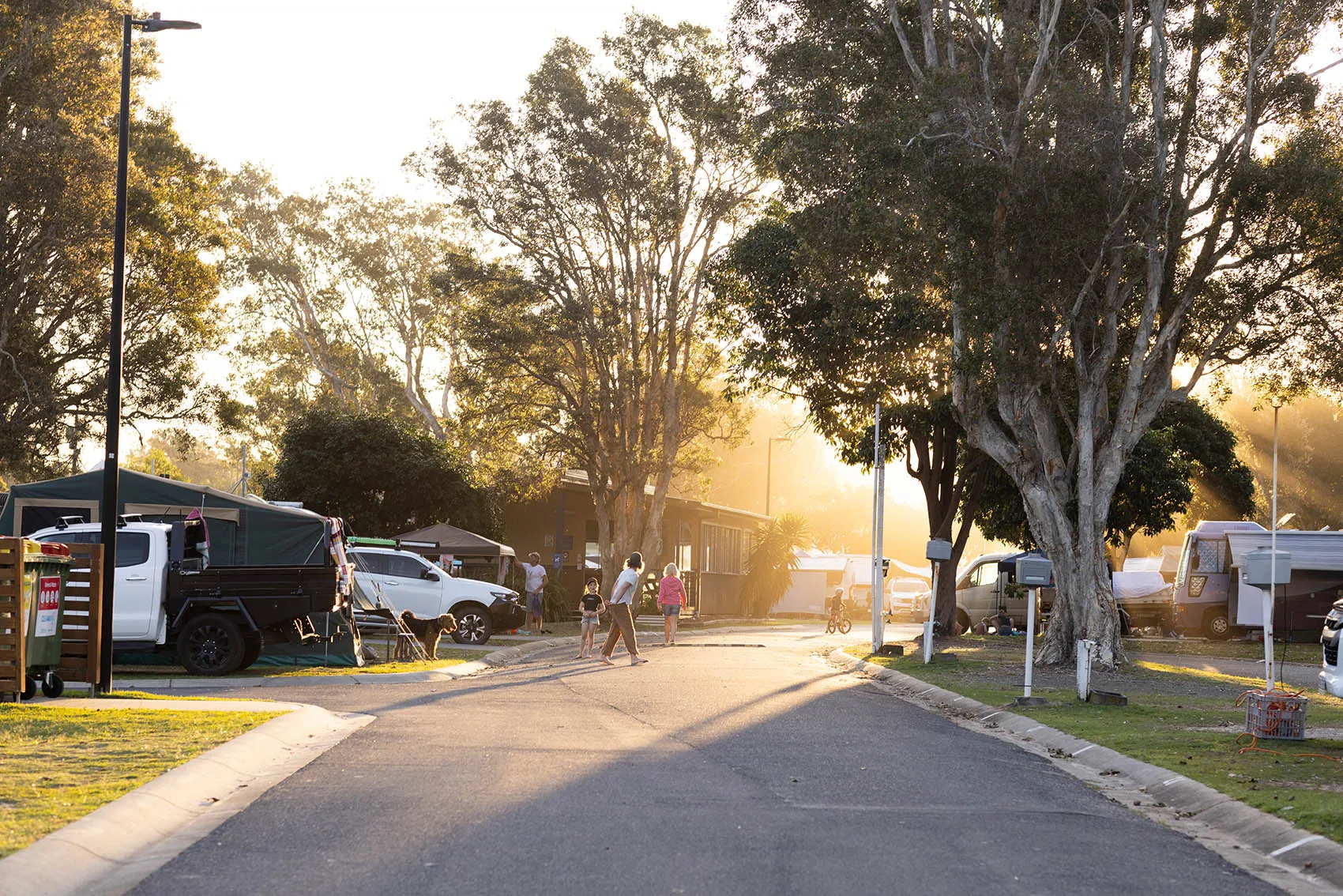 Scotts Head - Road