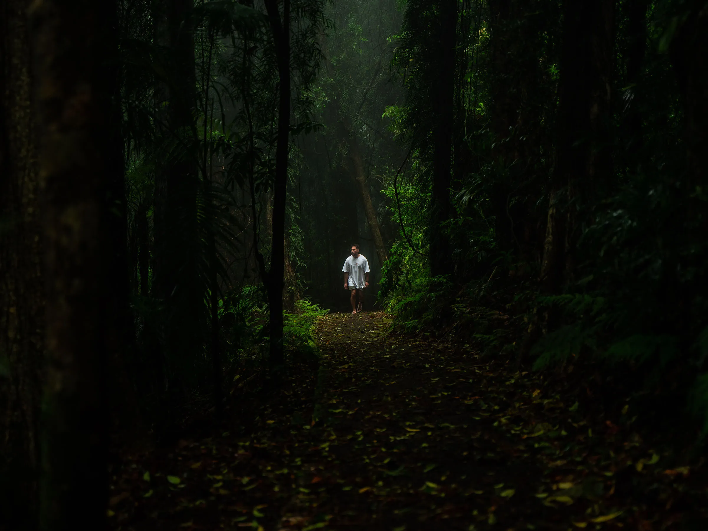 Reflections Mylestom holiday & caravan park Bundageree Rainforest walk  man walking solo