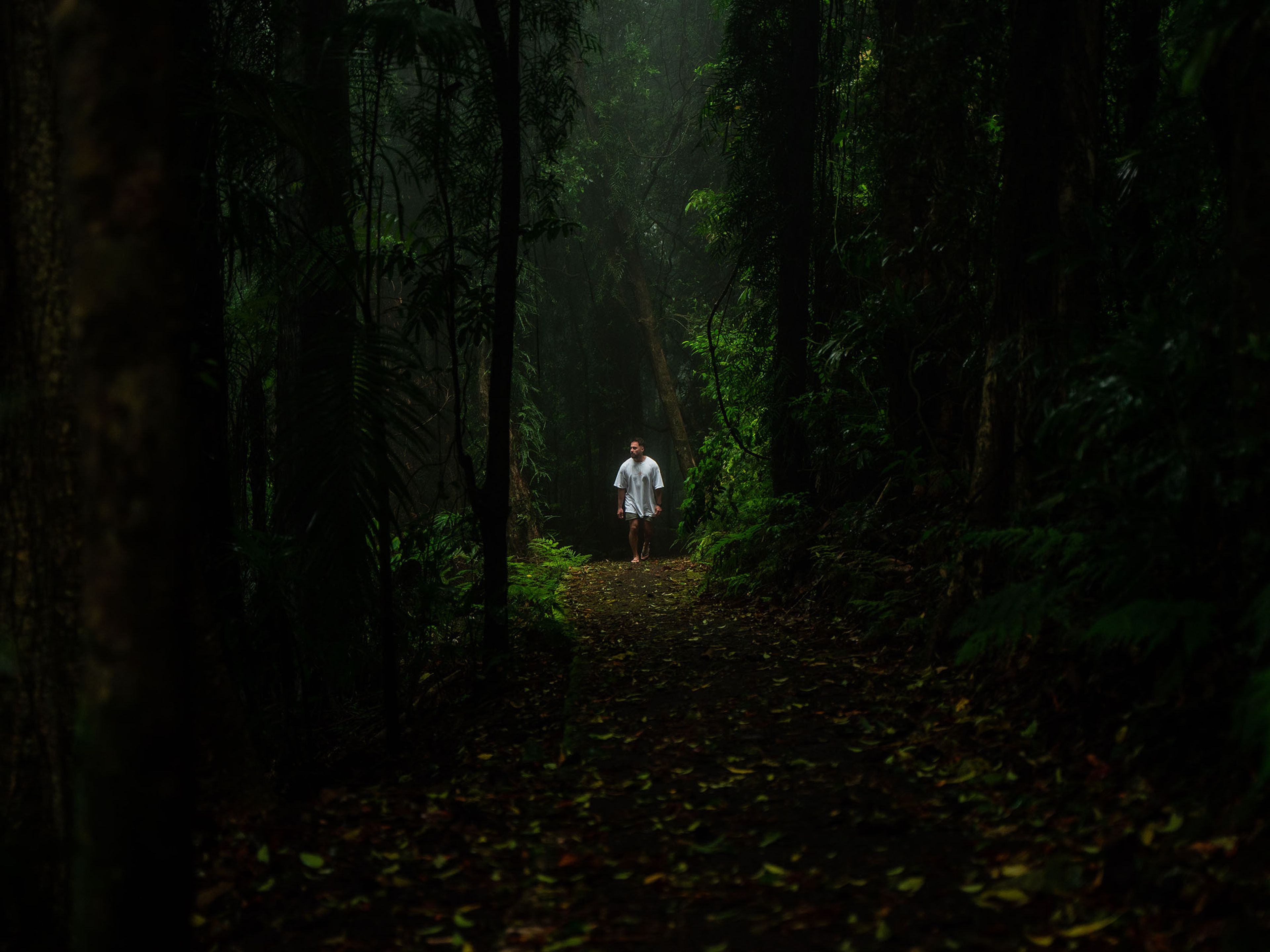Reflections Mylestom holiday & caravan park Bundageree Rainforest walk  man walking solo