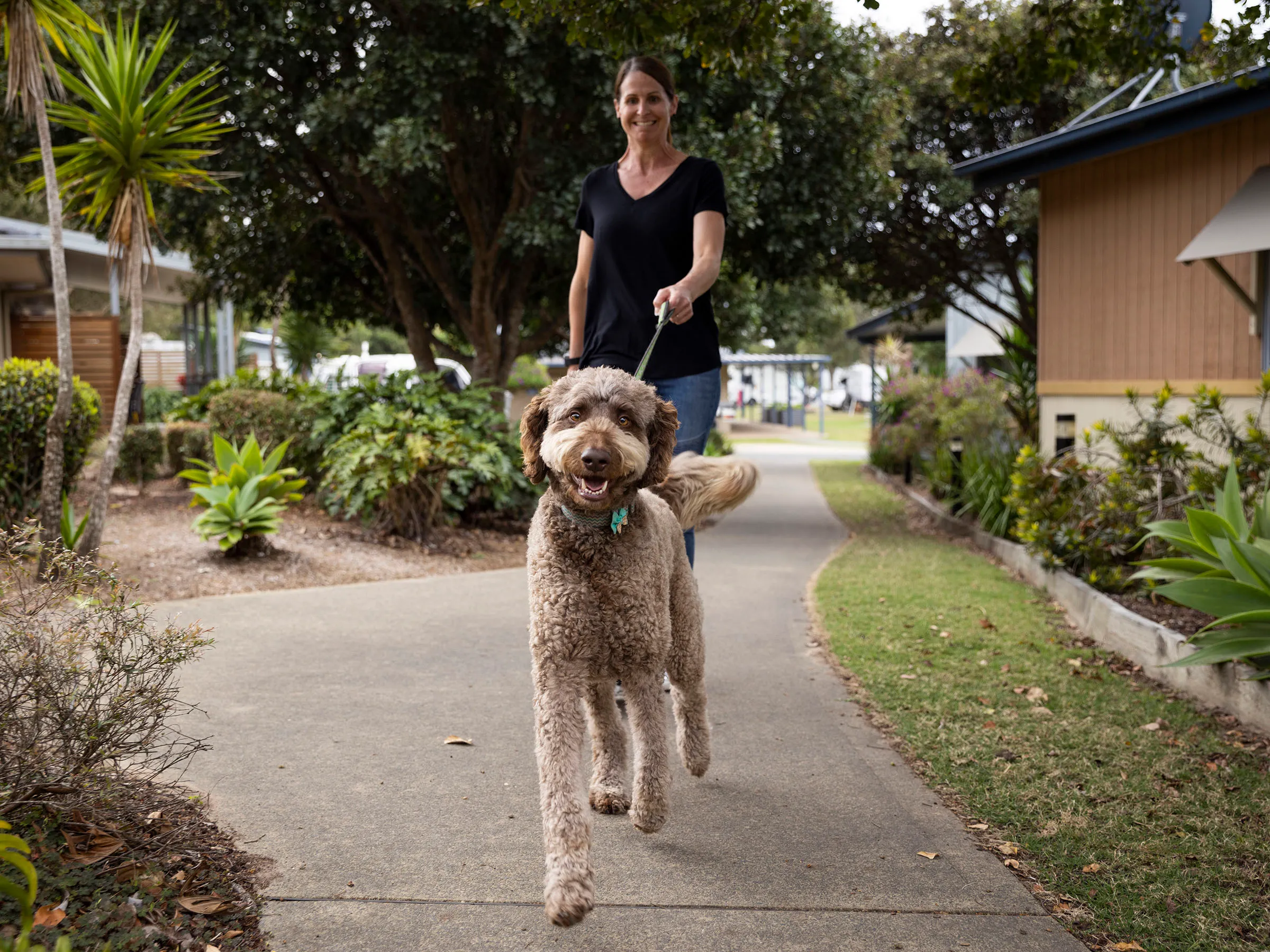 Reflections Urunga holiday and caravan park dog friendly accommodation options