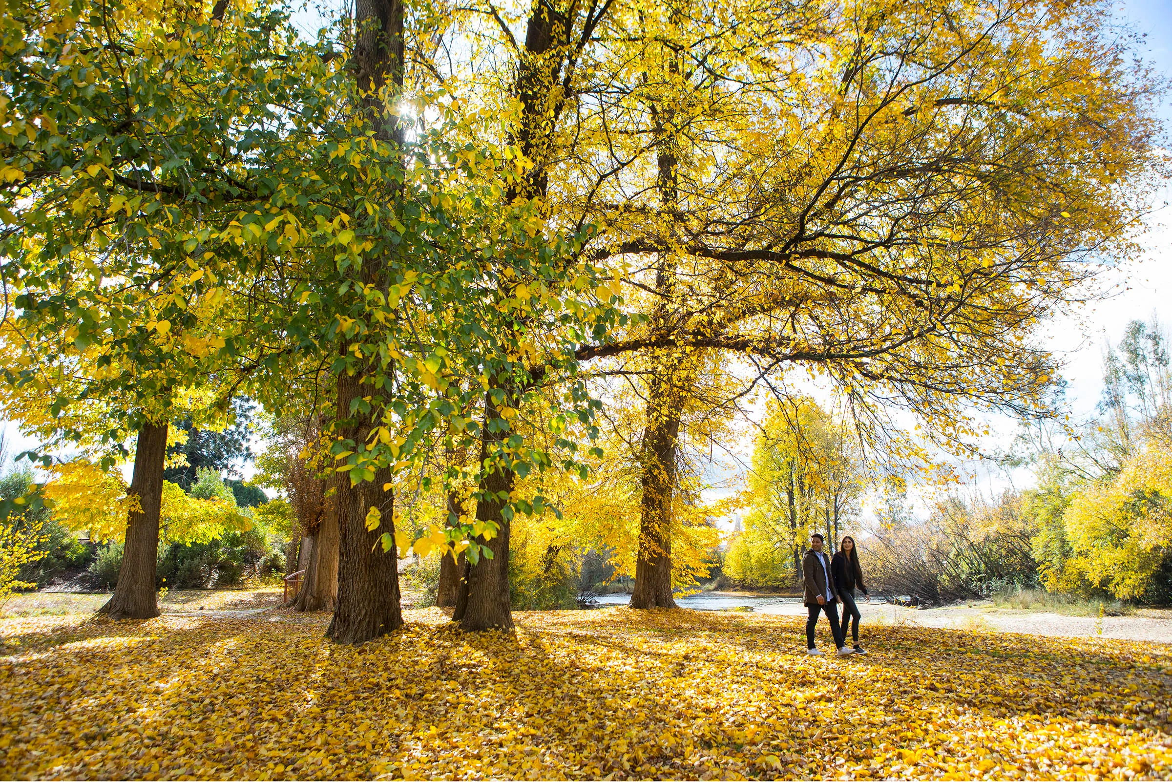 Tumut River Walk - Image courtesy of Destination nSW