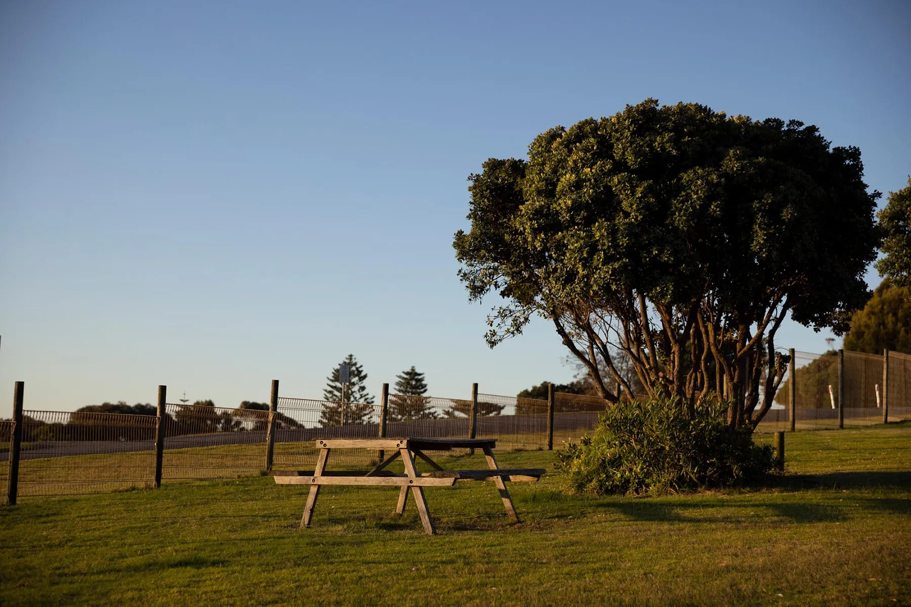 Reflections Bermagui - Picnic Table