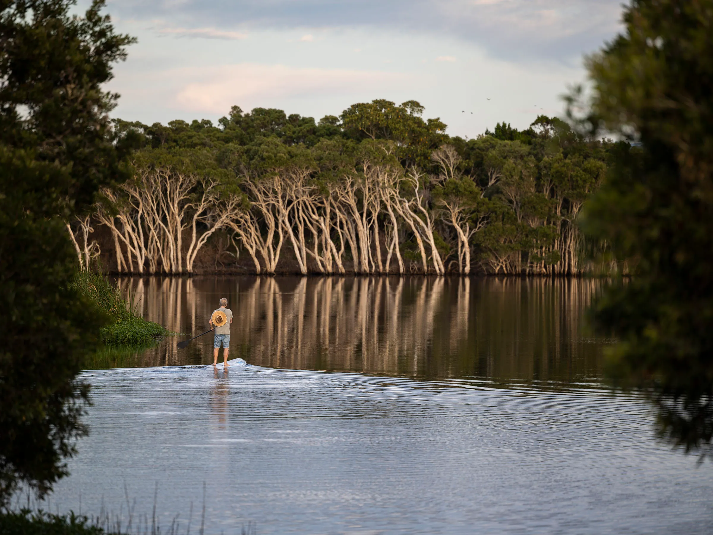 Reflections Holidays Lennox Head stand up paddle board Lake Ainsworth