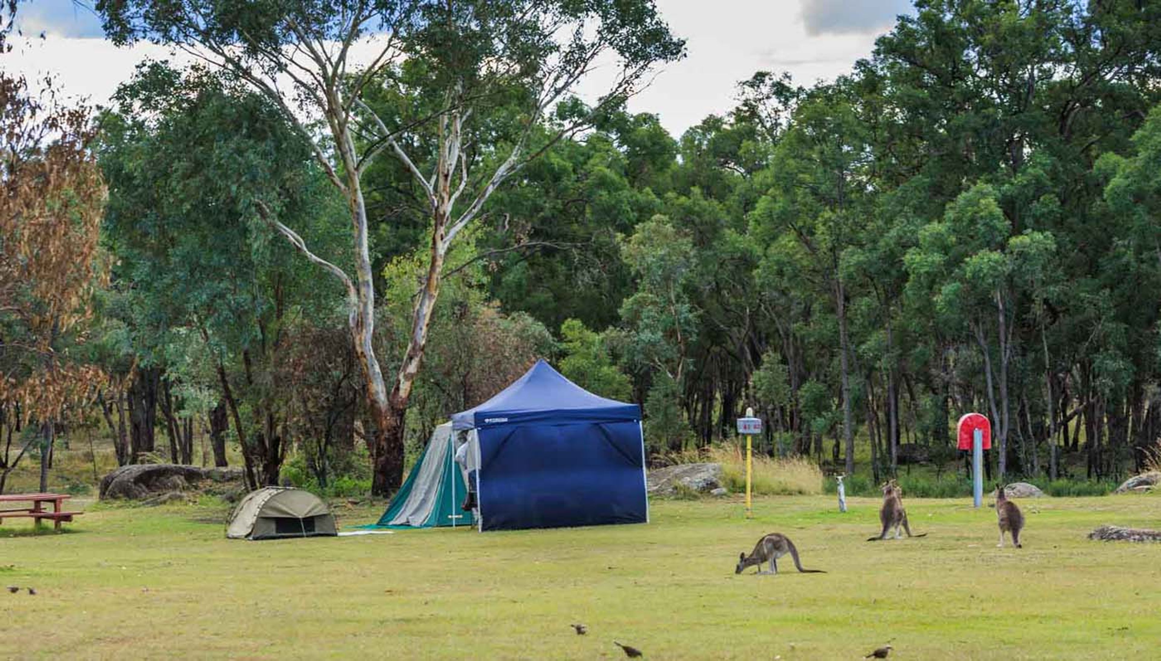 Copeton Waters - Unpowered Site - With Tent