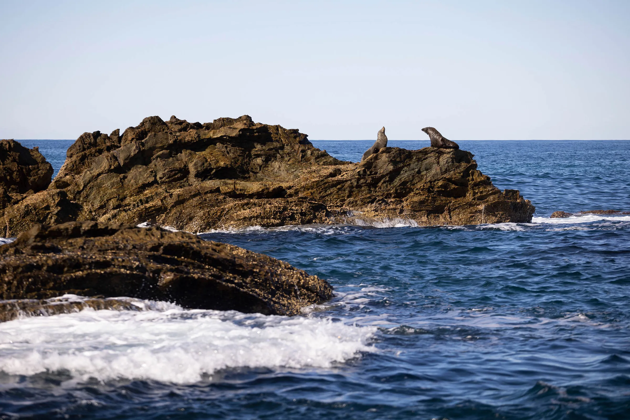 Bermagui coastline