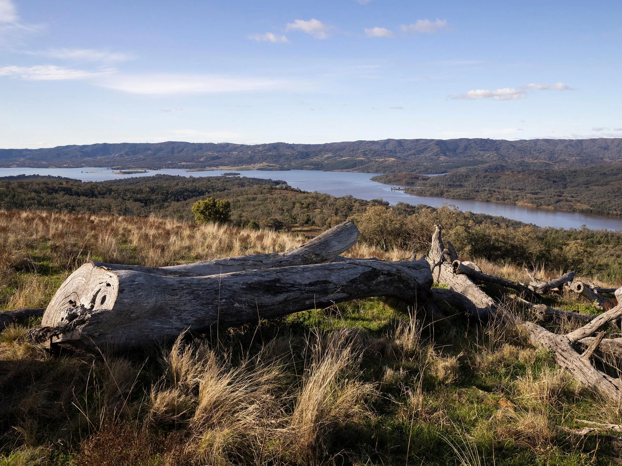 Reflections Holidays Mookerawa holiday and caravan park lookout over lake