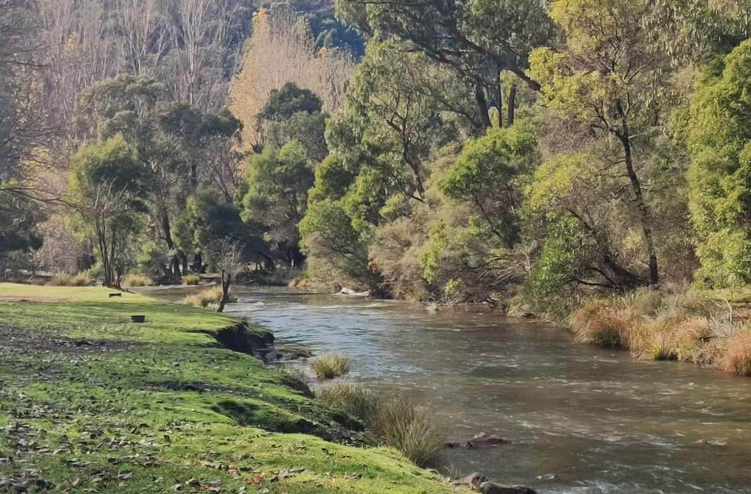 Wee Jasper - Micalong Creek Reserve