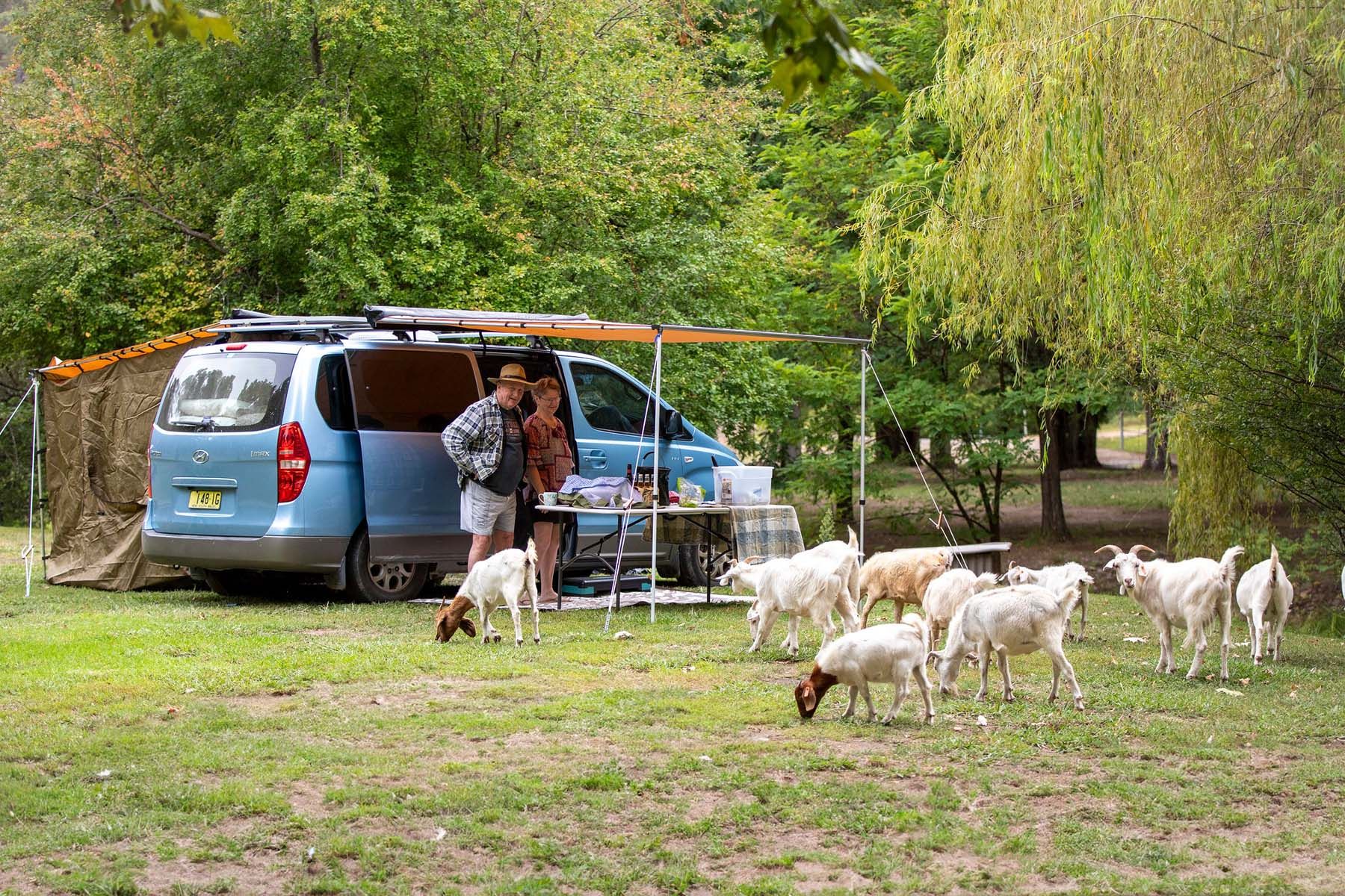 Wee Jasper bush camping sites