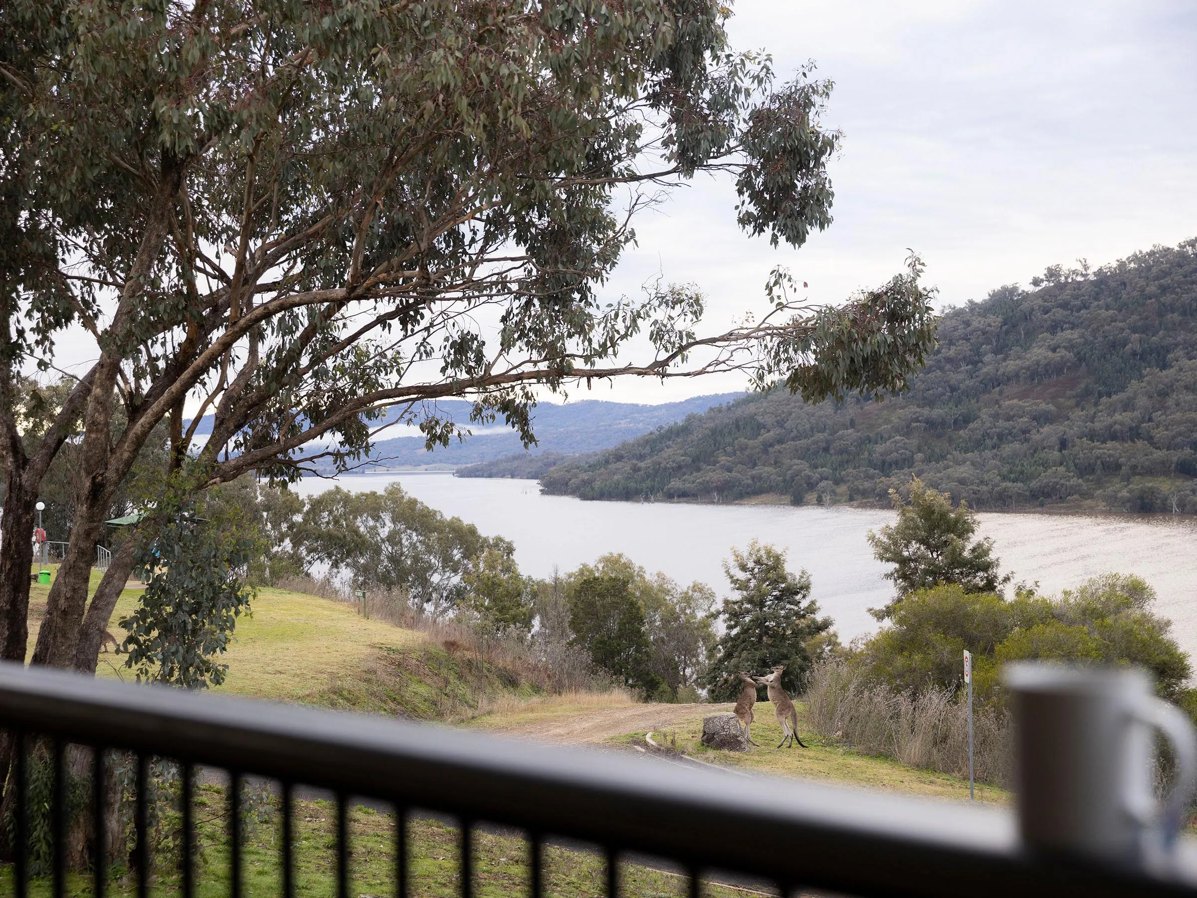 Reflections Holidays Mookerawa holiday and caravan park cabin accomodation water views