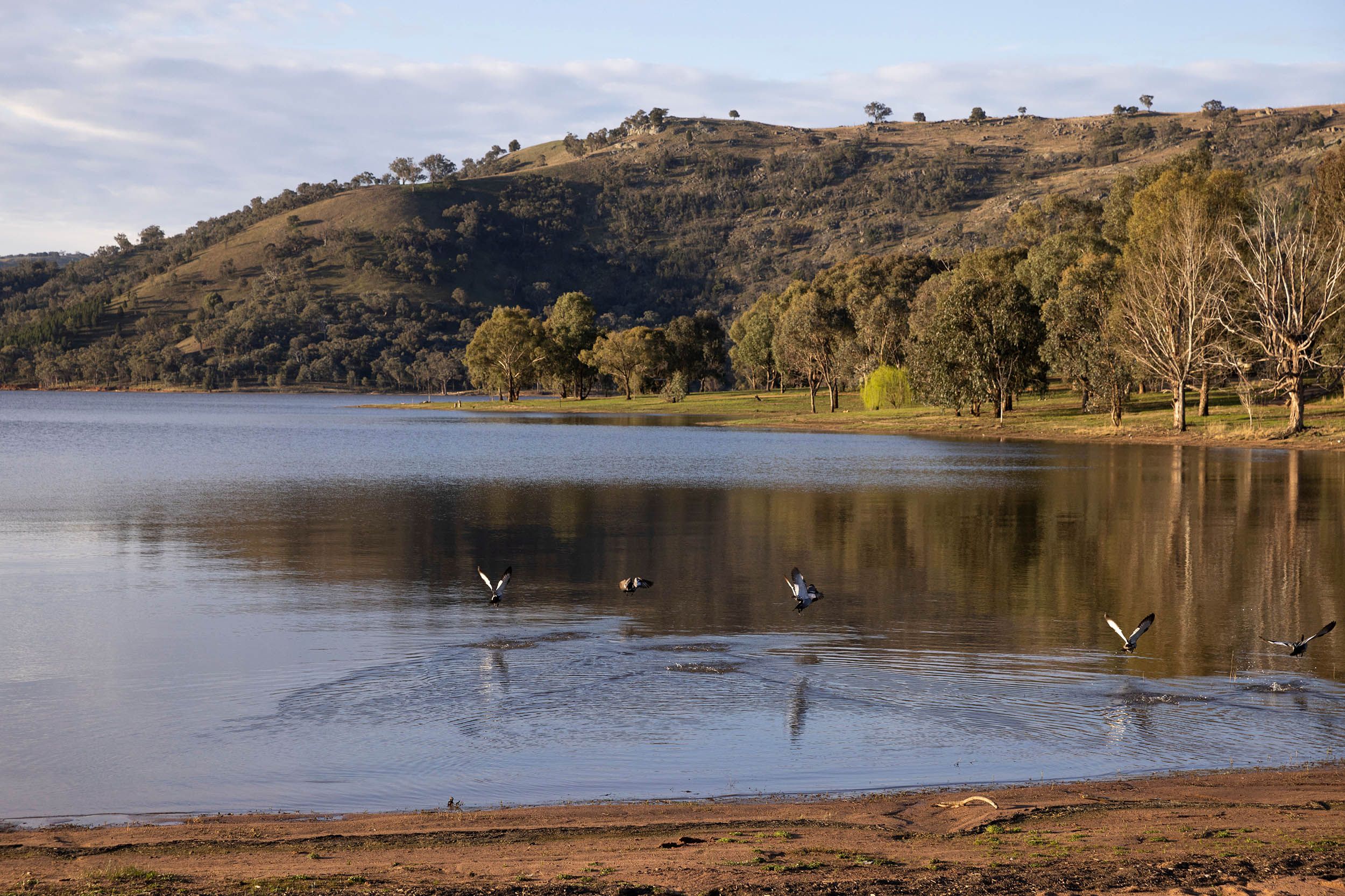 Fishing Grabine Lakeside