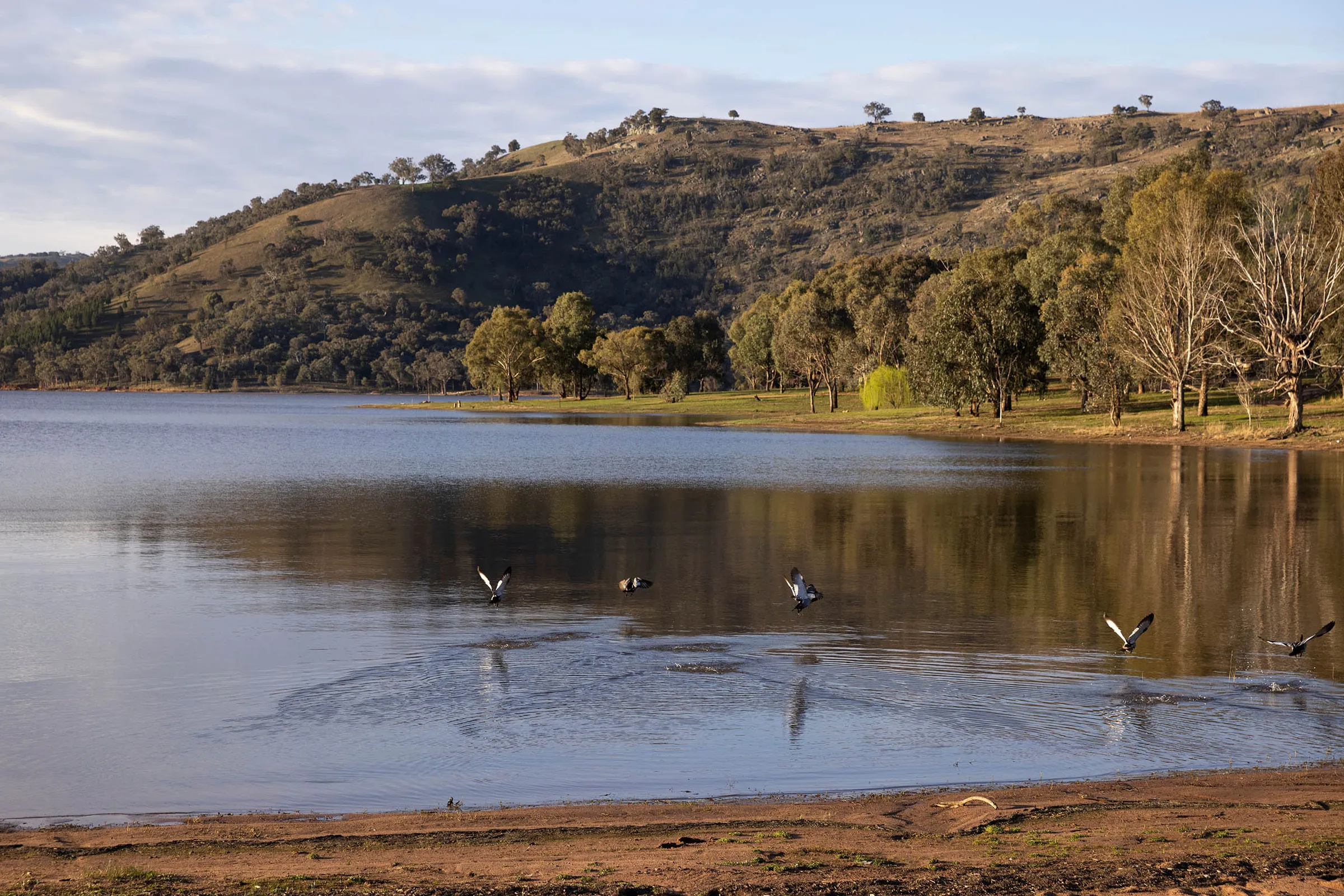 Fishing Grabine Lakeside