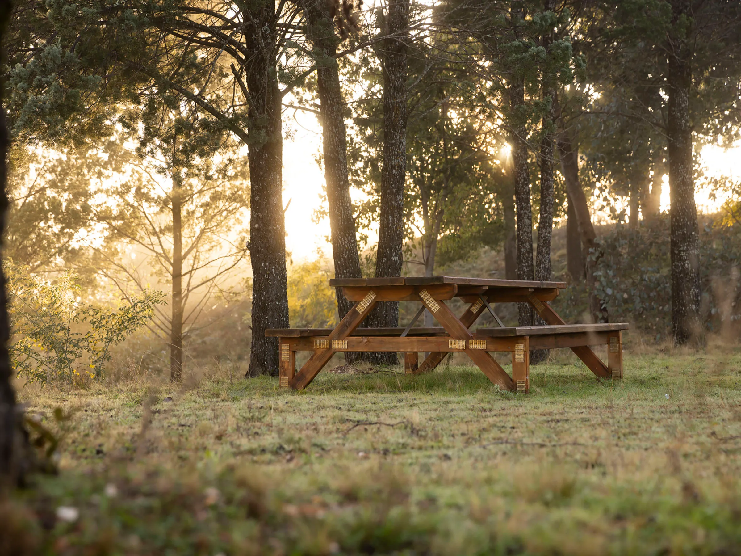 Cudgegong River picnic table