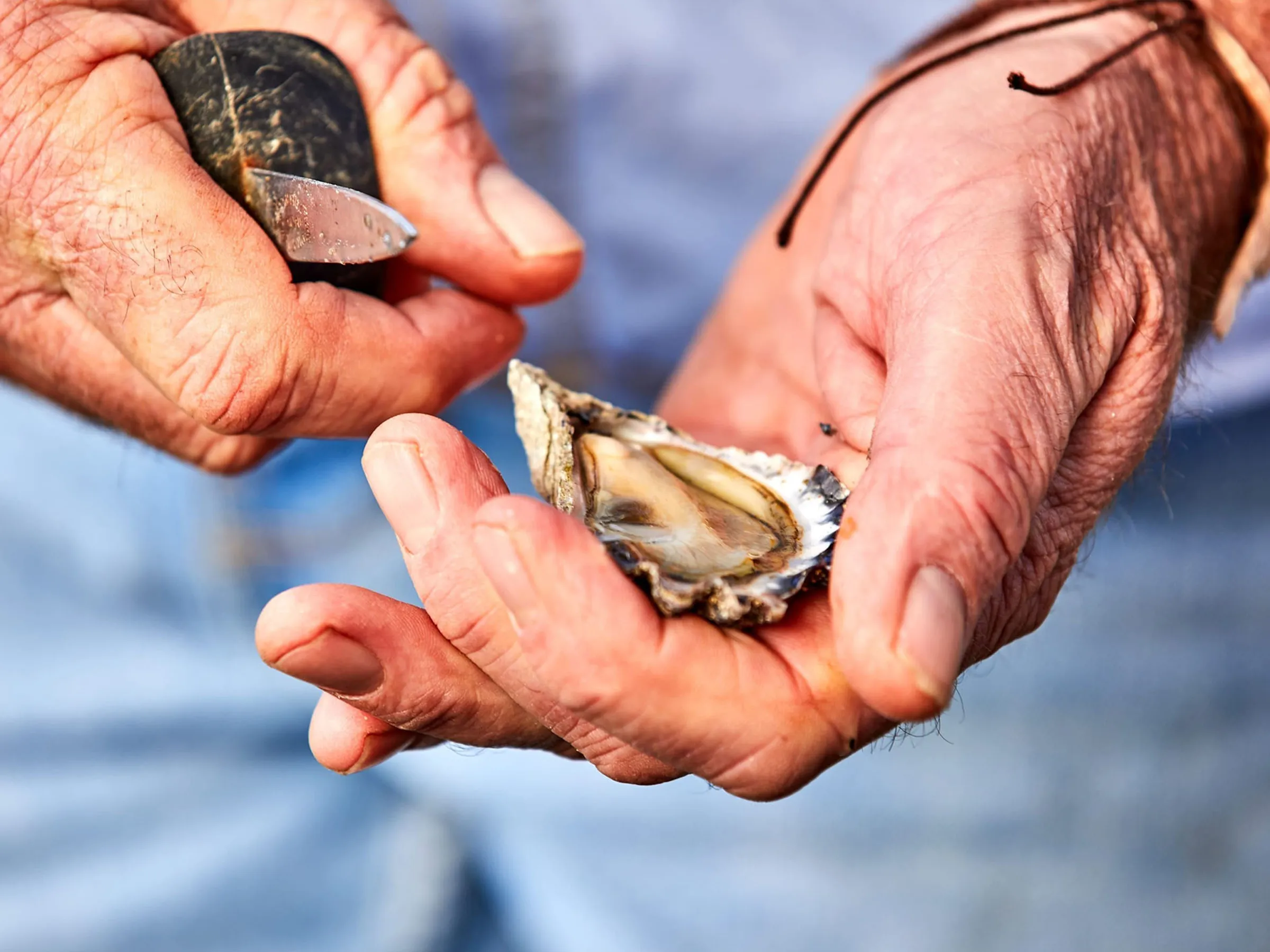 Reflections Holidays Bermagui holiday & caravan park local fisherman shucking oysters