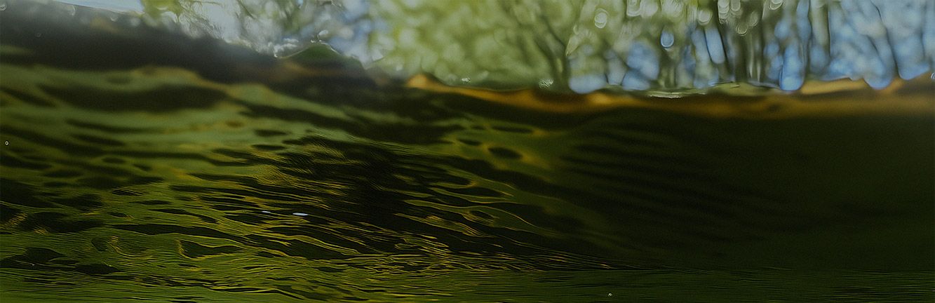 Waterway Warriors banner