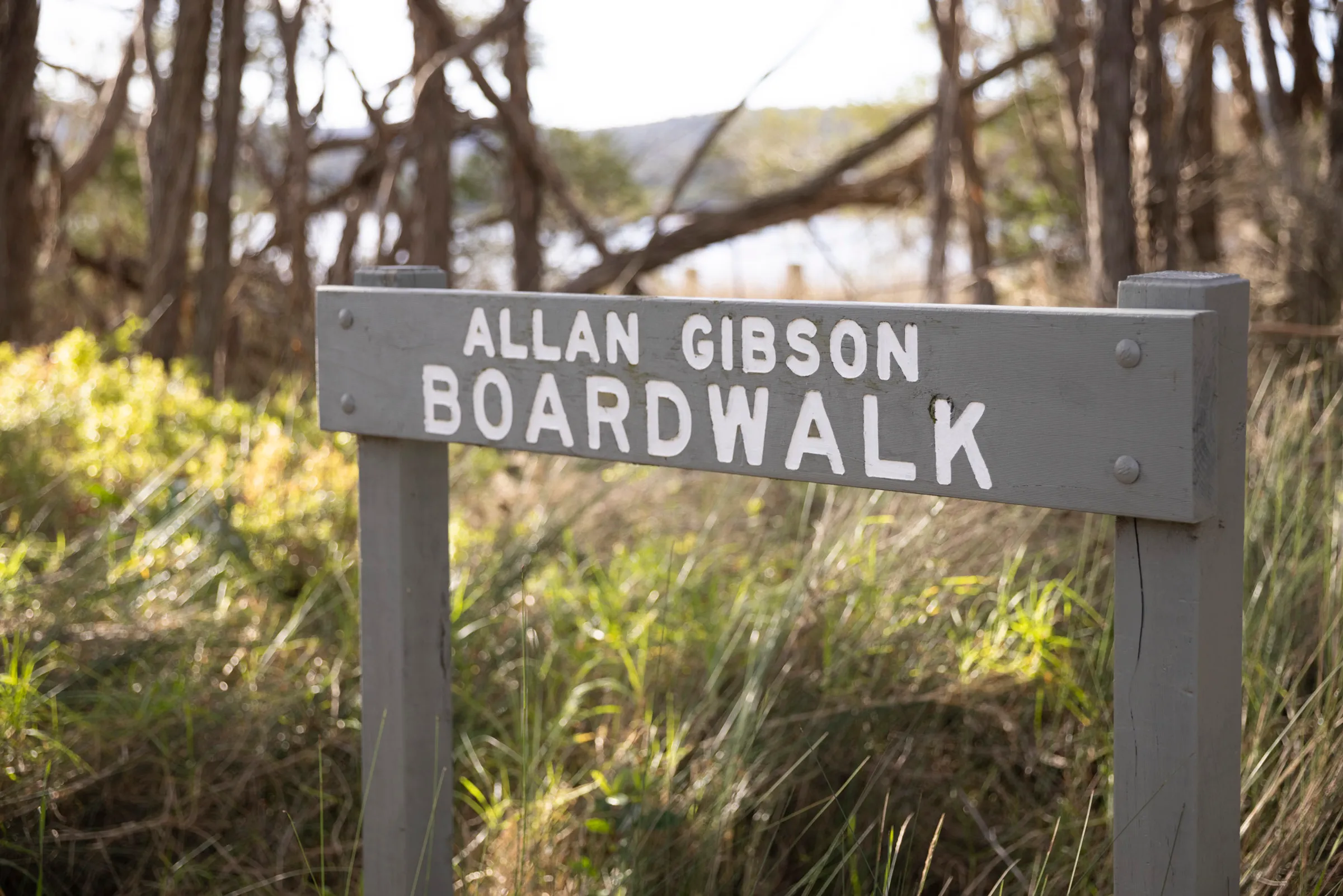 Aden - Allan Gibson Boardwalk