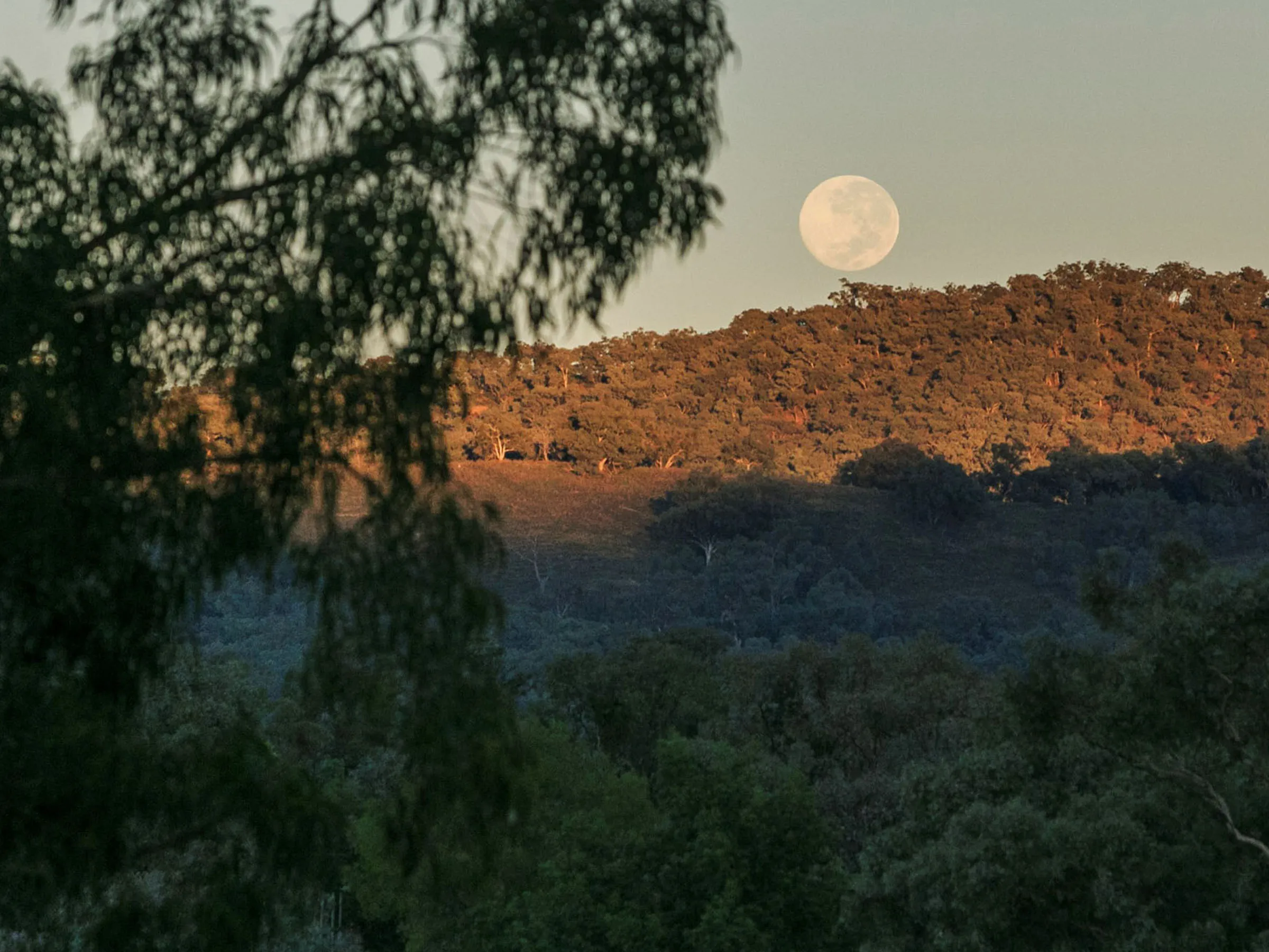 Reflections Holidays Mookerawa holiday and caravan park Mount Aquila Destination NSW