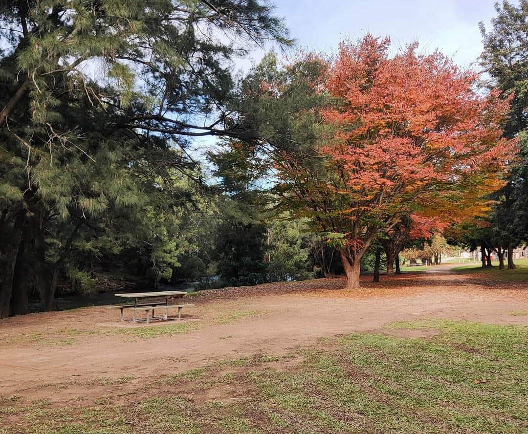 Wee Jasper - Swinging Bridge Reserve