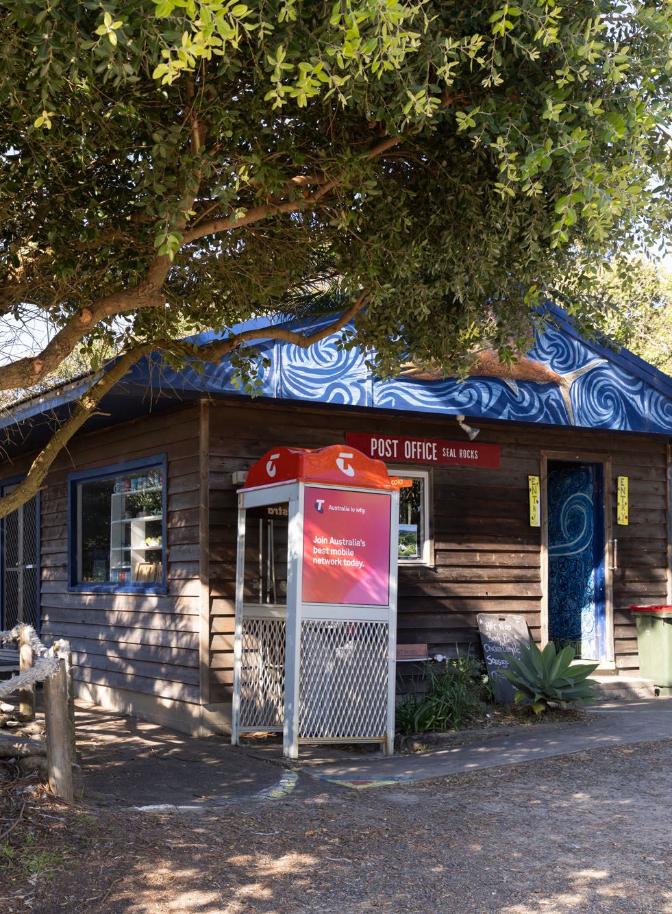 Single Fin Coffee - Seal Rocks