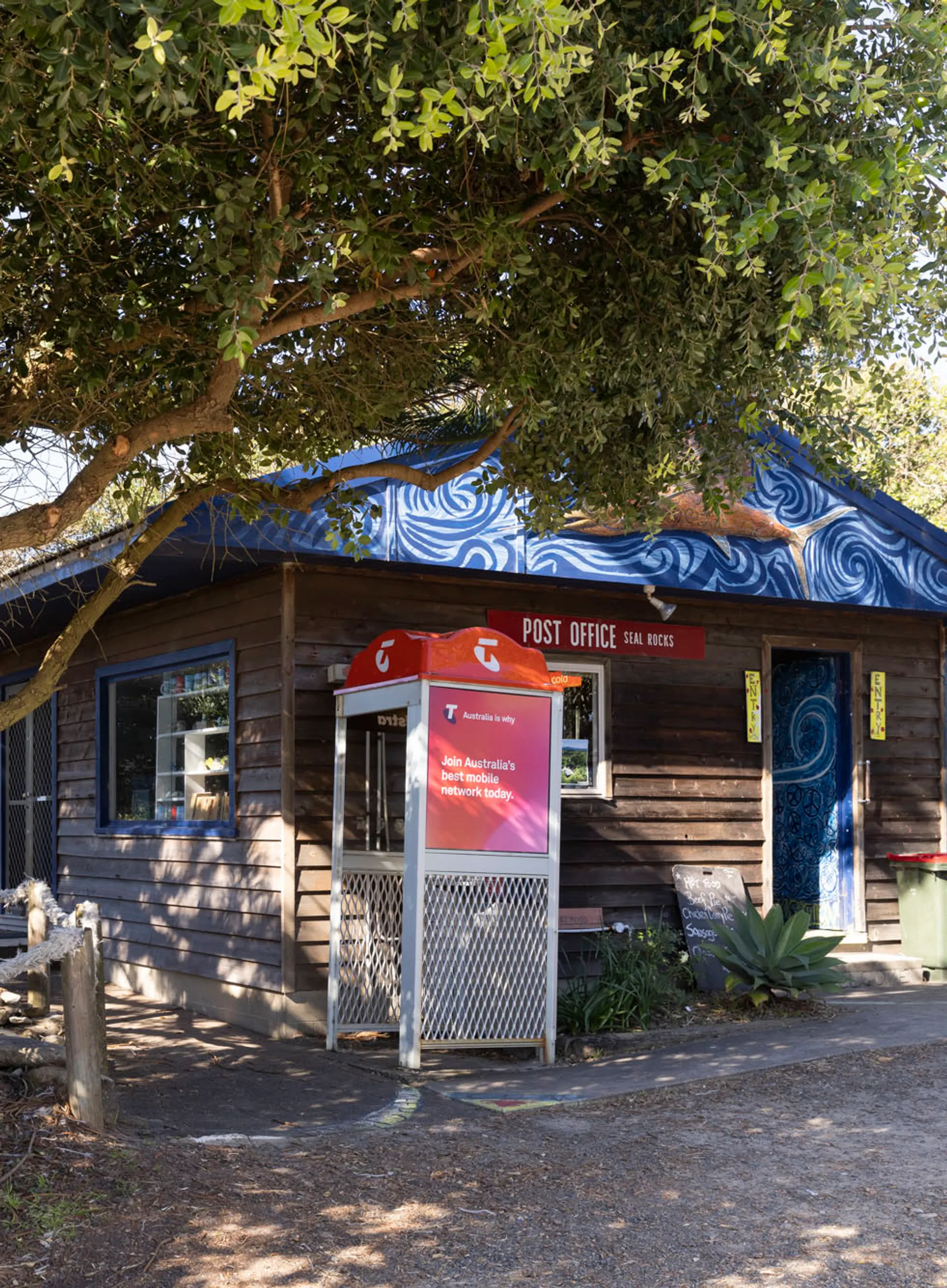 Single Fin Coffee - Seal Rocks