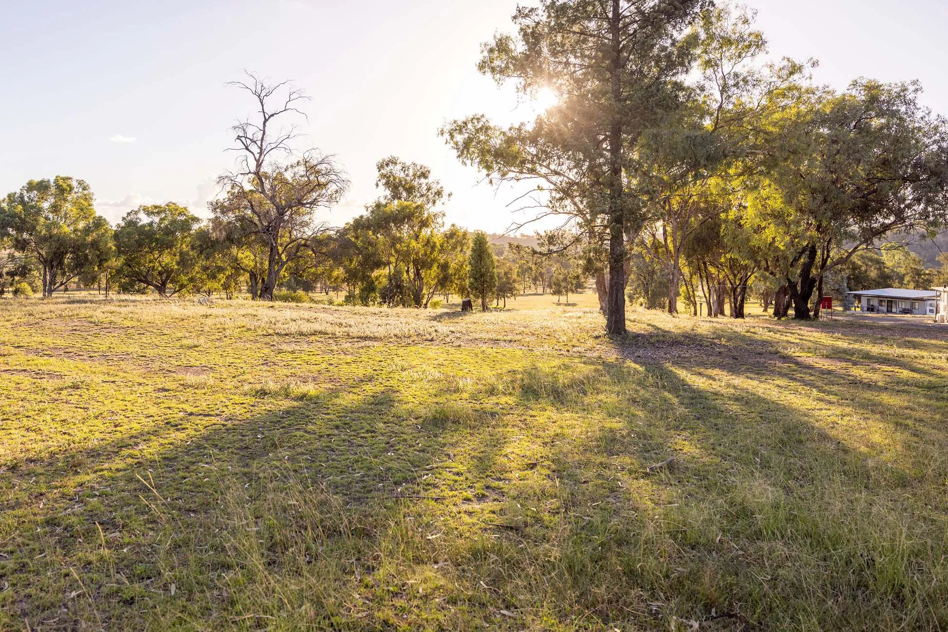 Lake Burrendong - Standard Unpowered Site