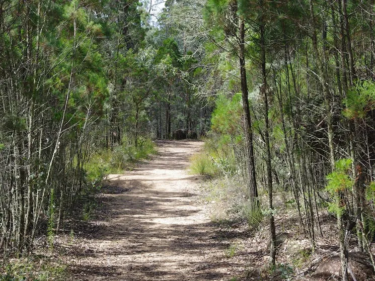 Hiking trails - Goonoowigall State Conservation Area