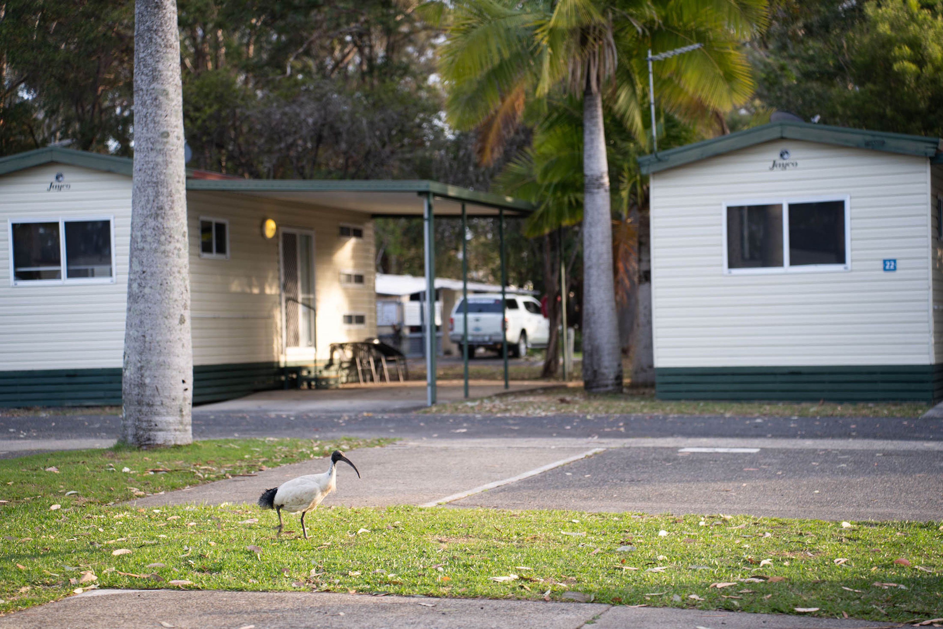 Coffs Harbour cabins