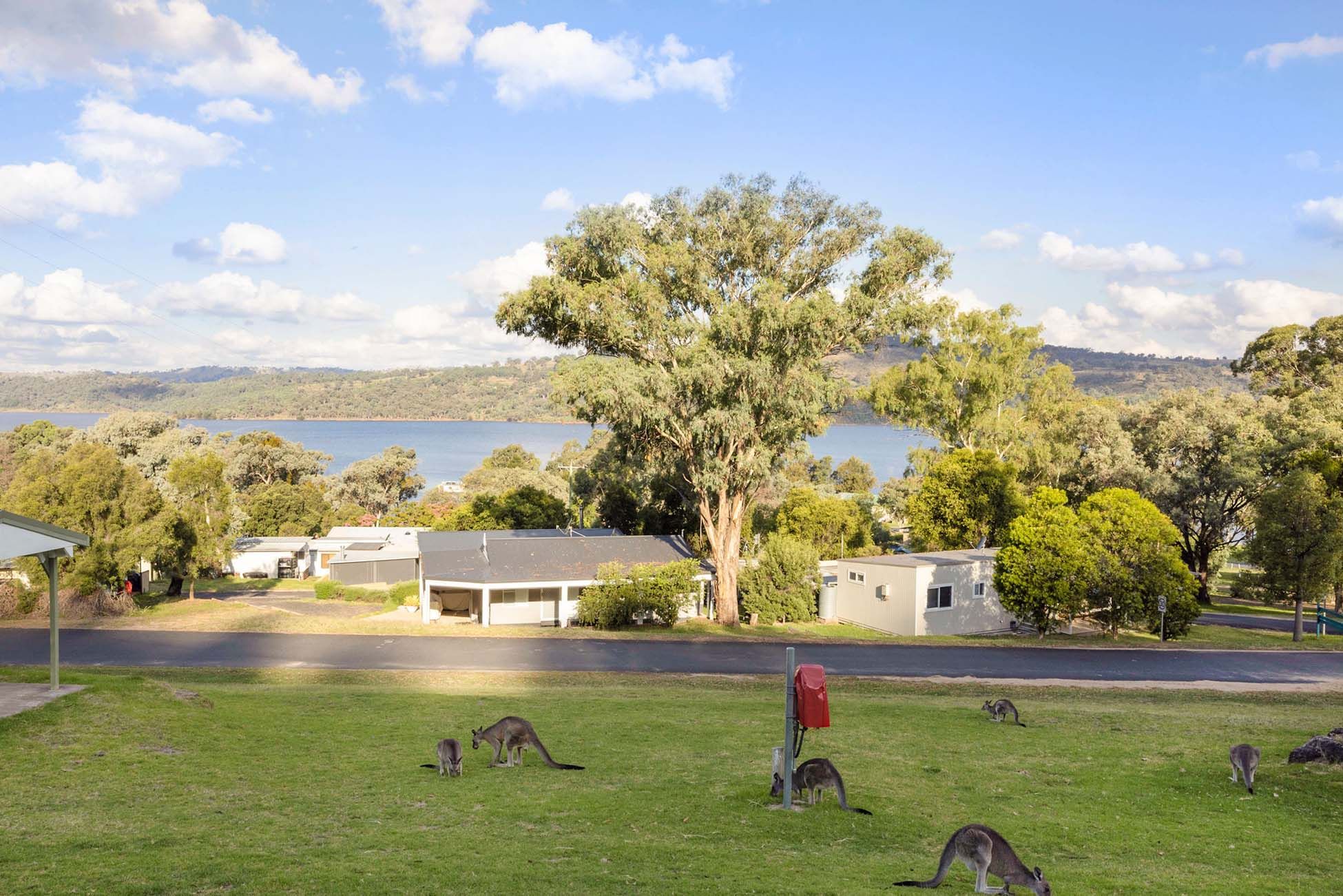 Wyangala Waters - Standard Cabin - Sleeps 6 - View