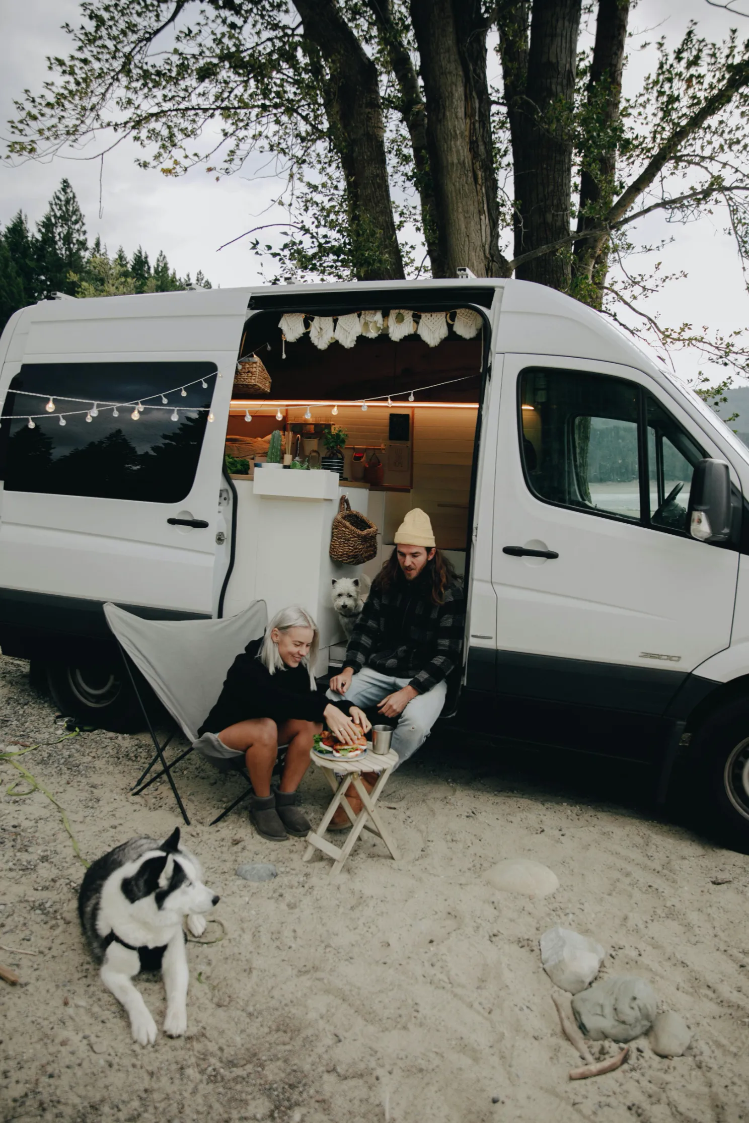 Dog-friendly camping - campervan