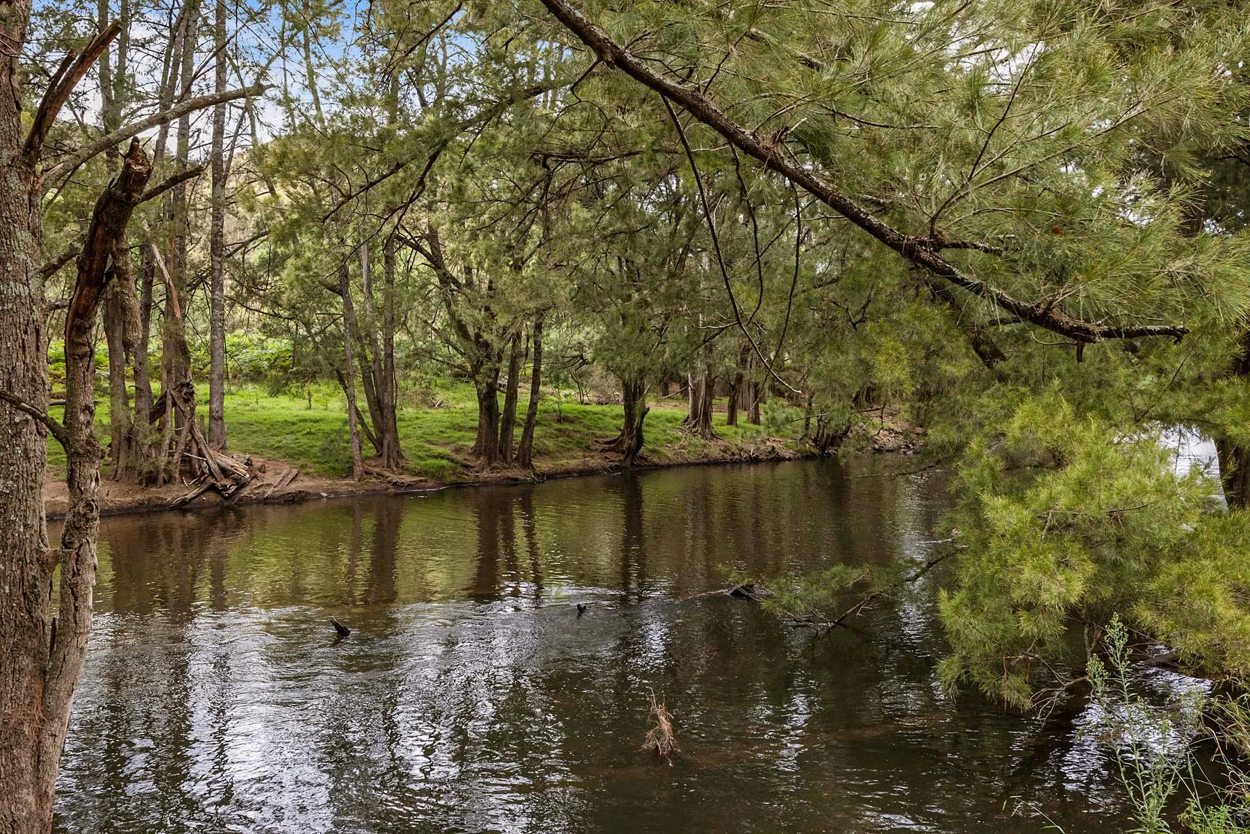 Wee Jasper - Swinging Bridge Reserve