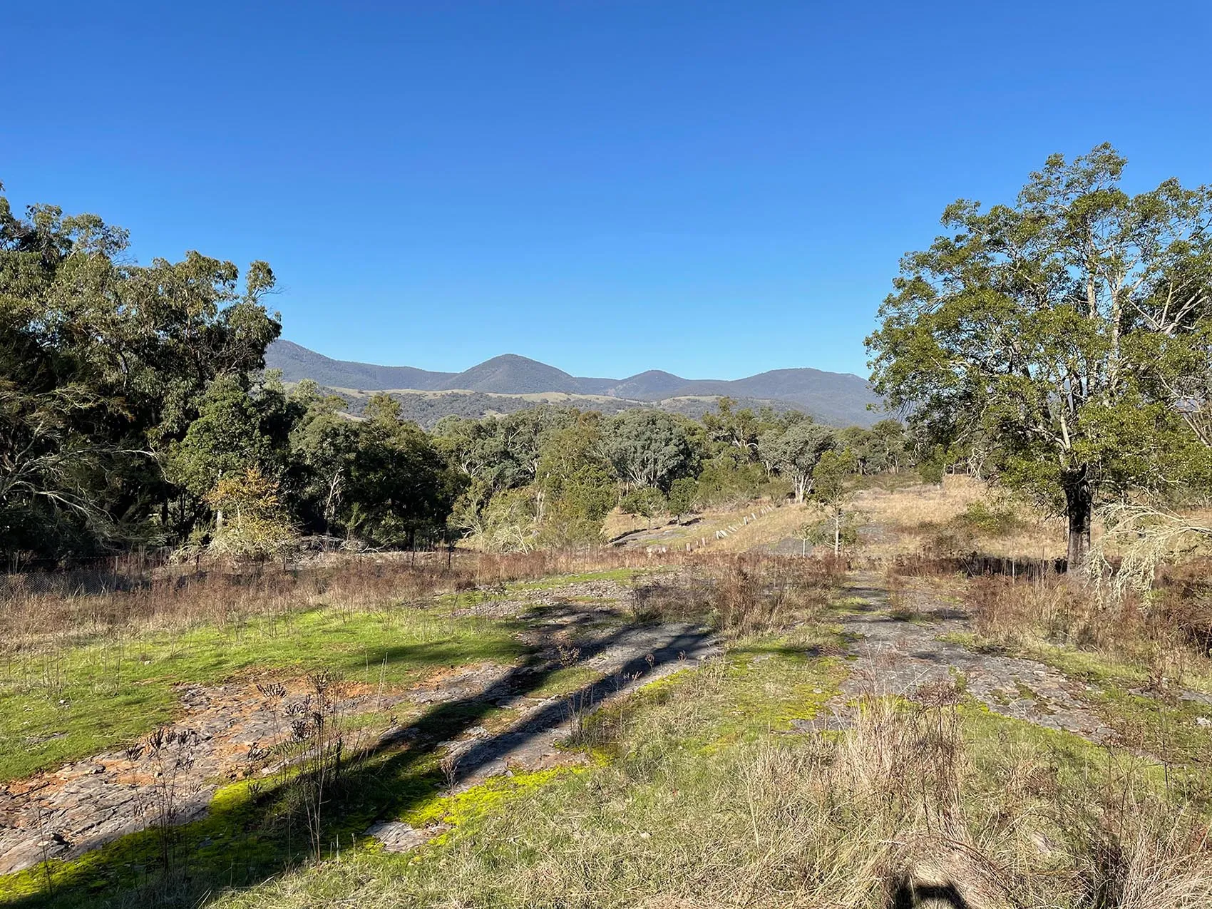 Wee Jasper - Fitzpatrick Trackhead Reserve